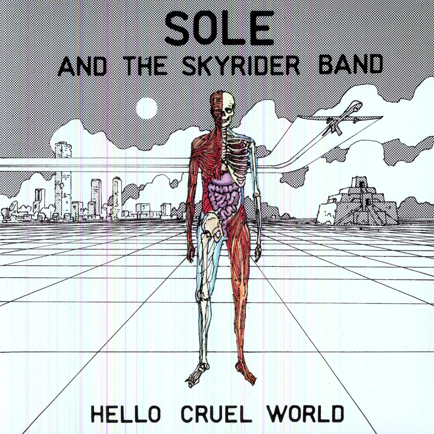 Sole & The Skyrider Band Hello Cruel World Vinyl Record