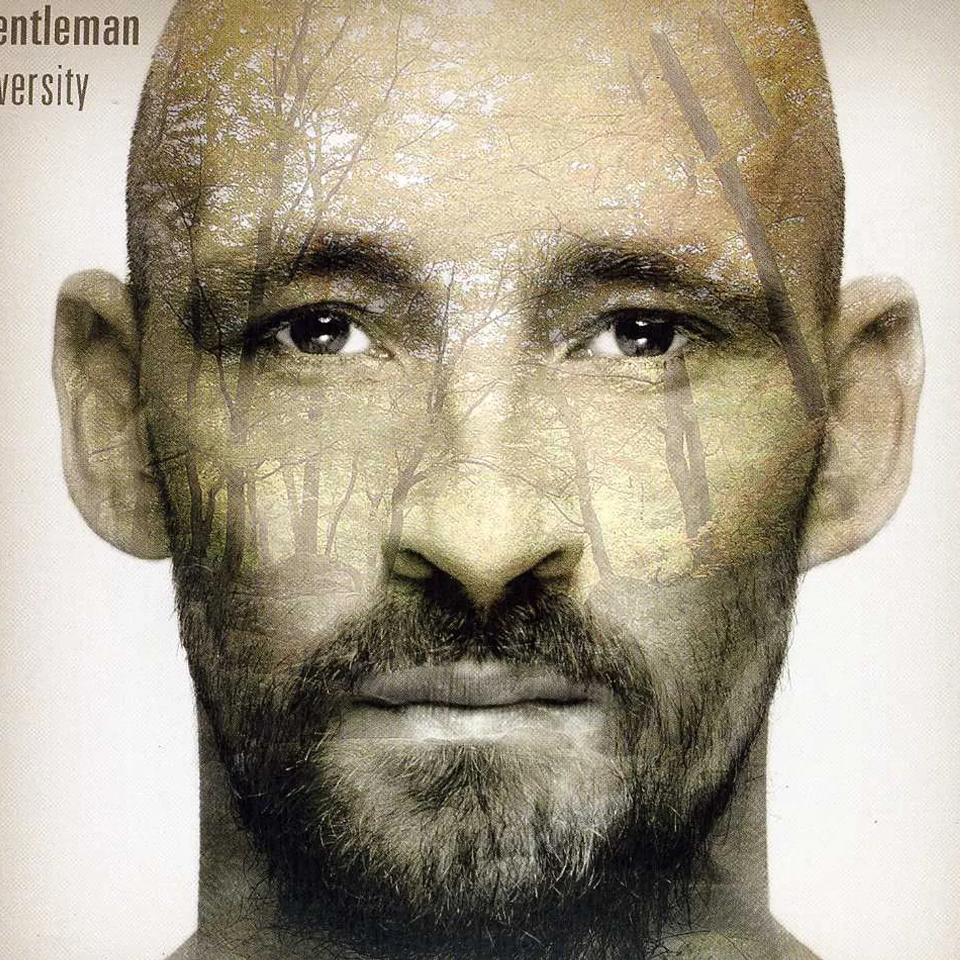 Gentleman DIVERSITY CD