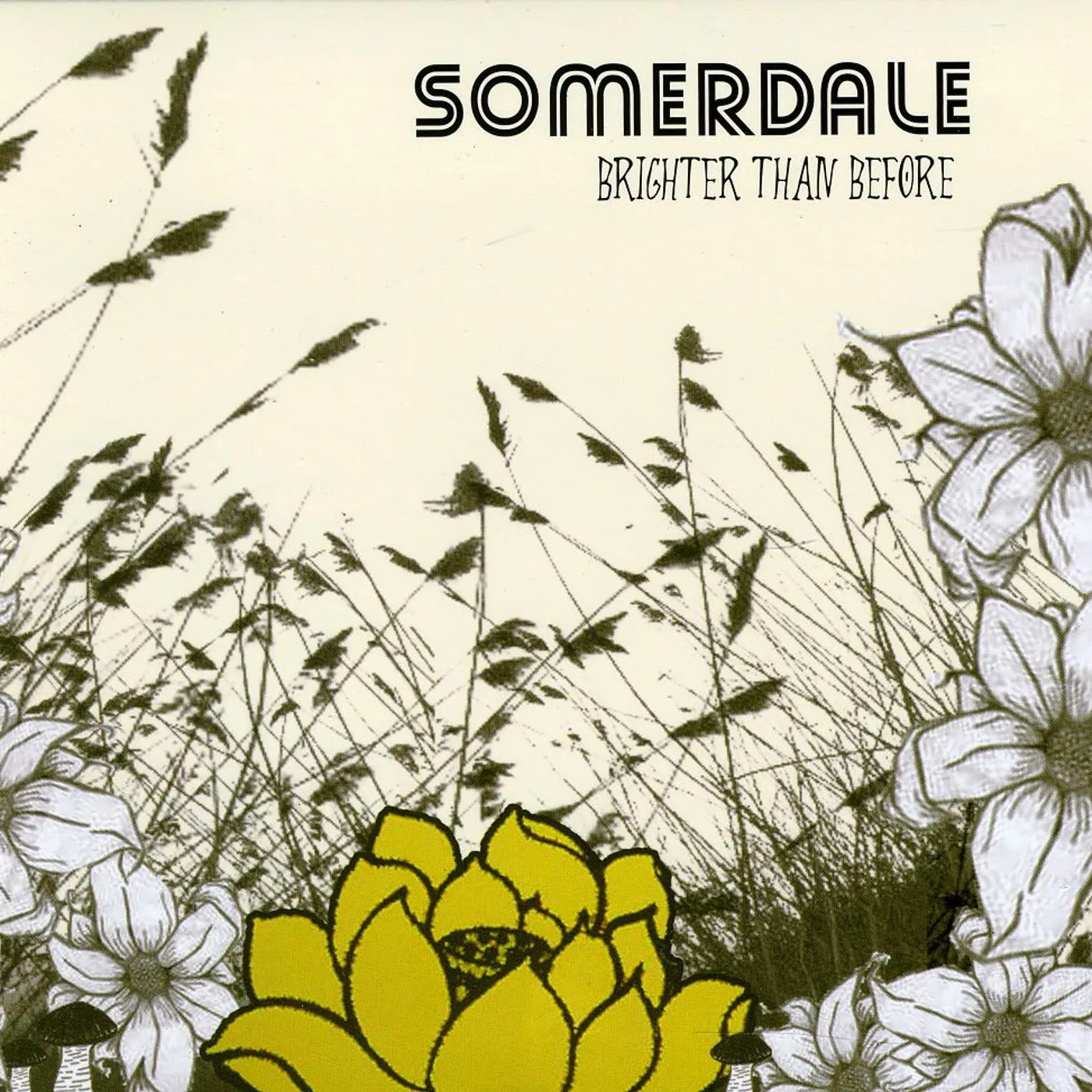 Somerdale BRIGHTER THAN BEFORE CD