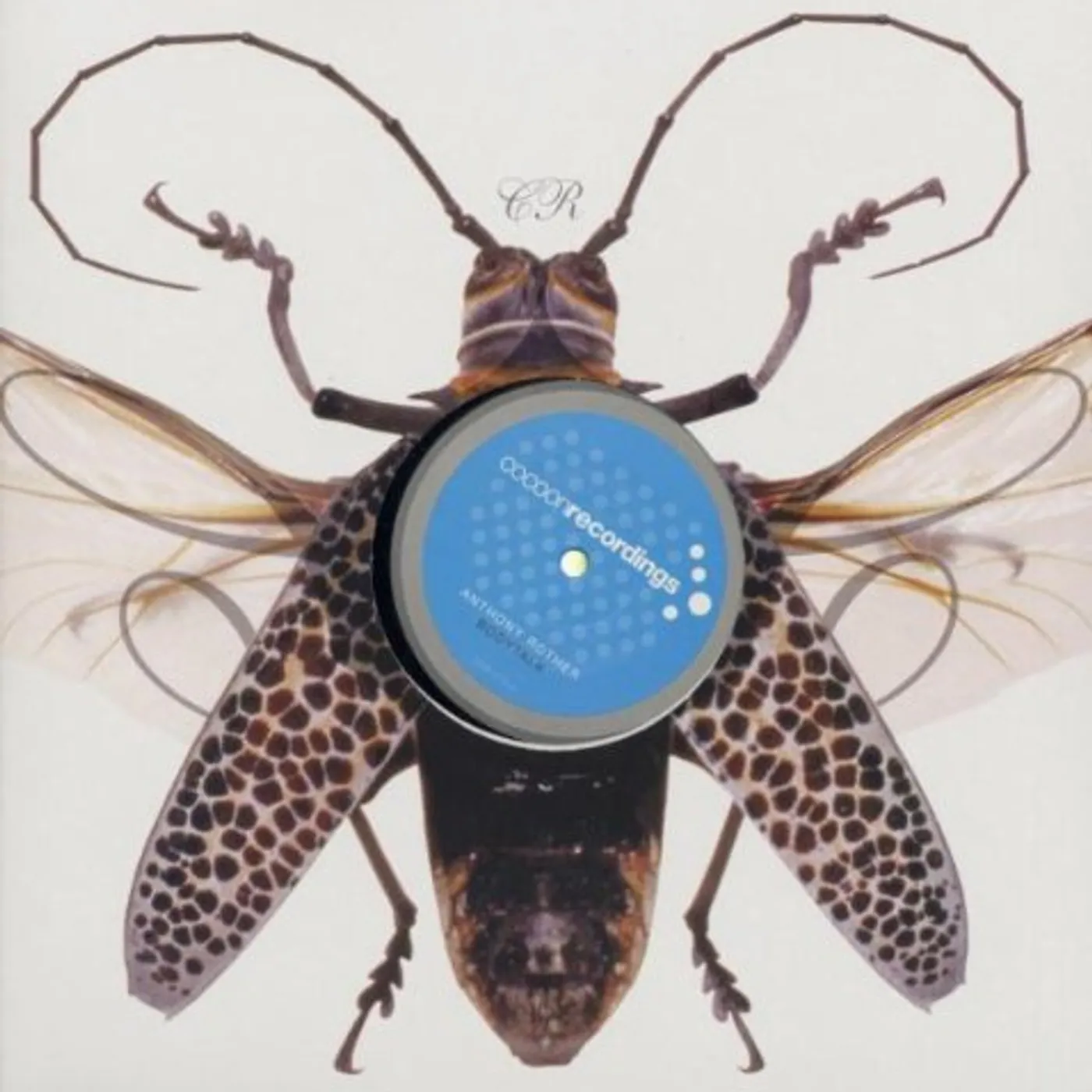 Anthony Rother BODYTALK Vinyl Record