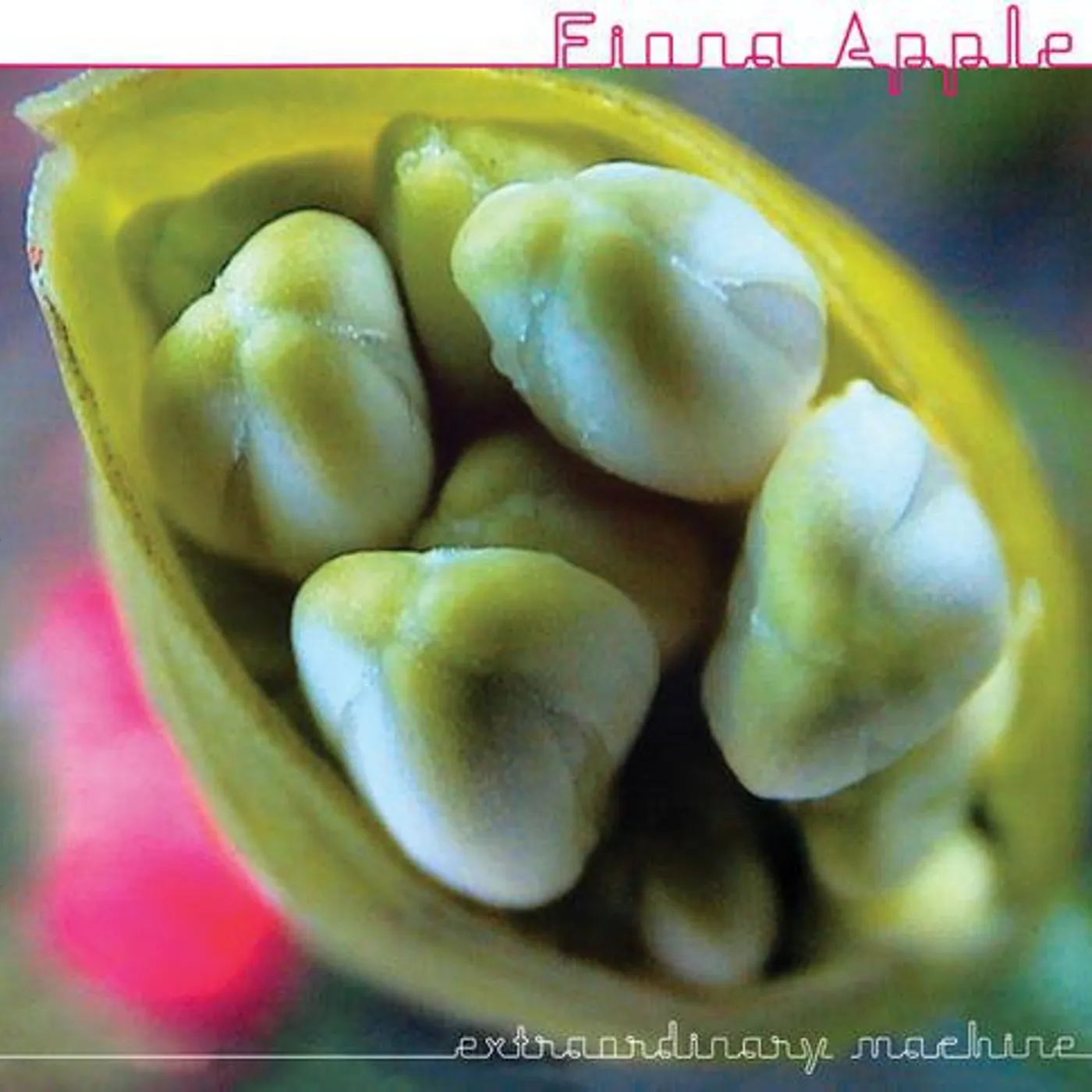 Fiona Apple Extraordinary Machine Vinyl Record