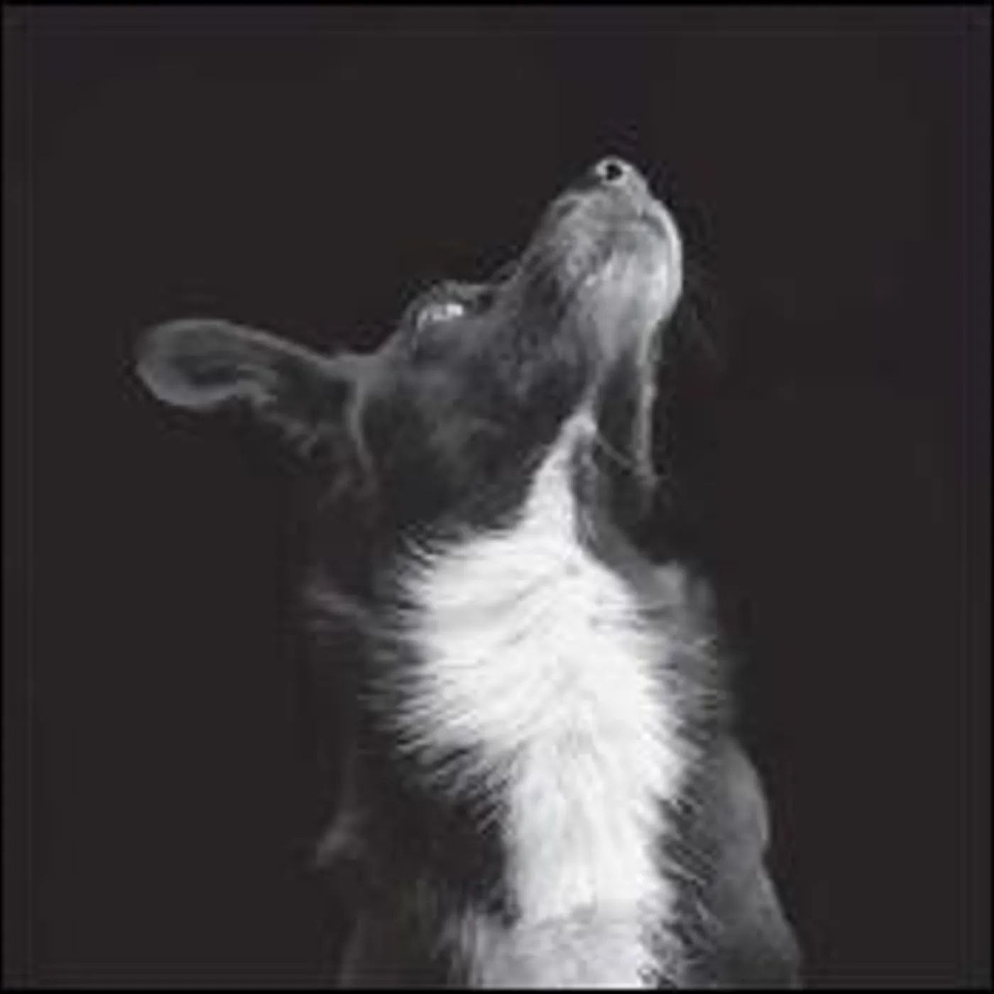 Be Svendsen Catchpenny & Cosmos Vinyl Record