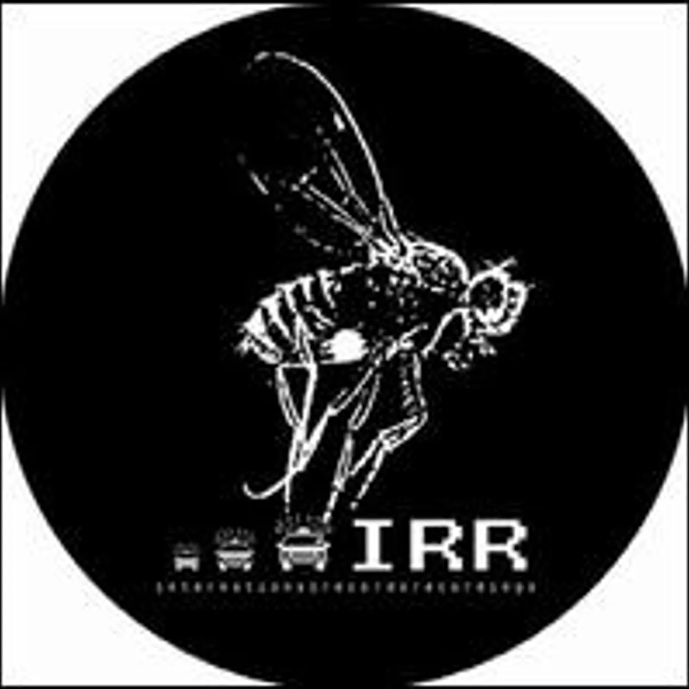 Hrdvsion I CANT EXIST Vinyl Record