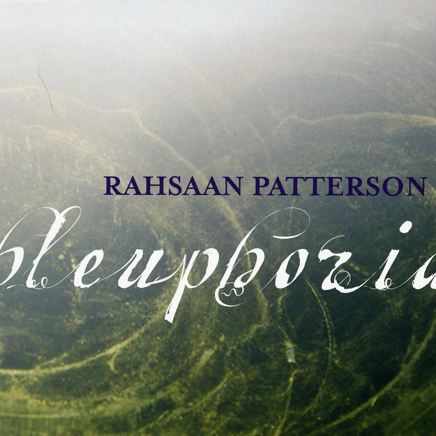Rahsaan Patterson BLEUPHORIA CD