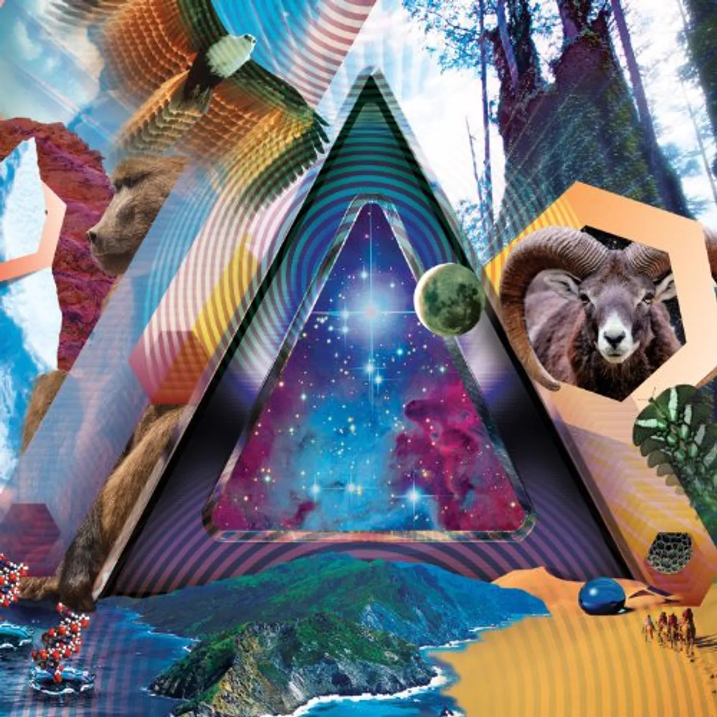 311 Universal Pulse Vinyl Record