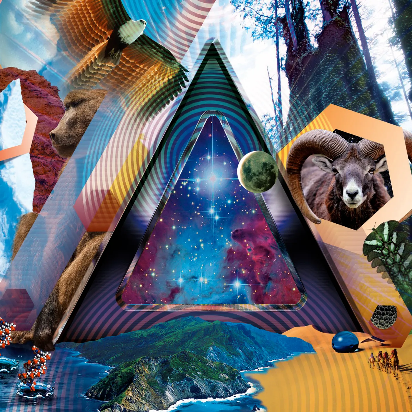 311 UNIVERSAL PULSE CD