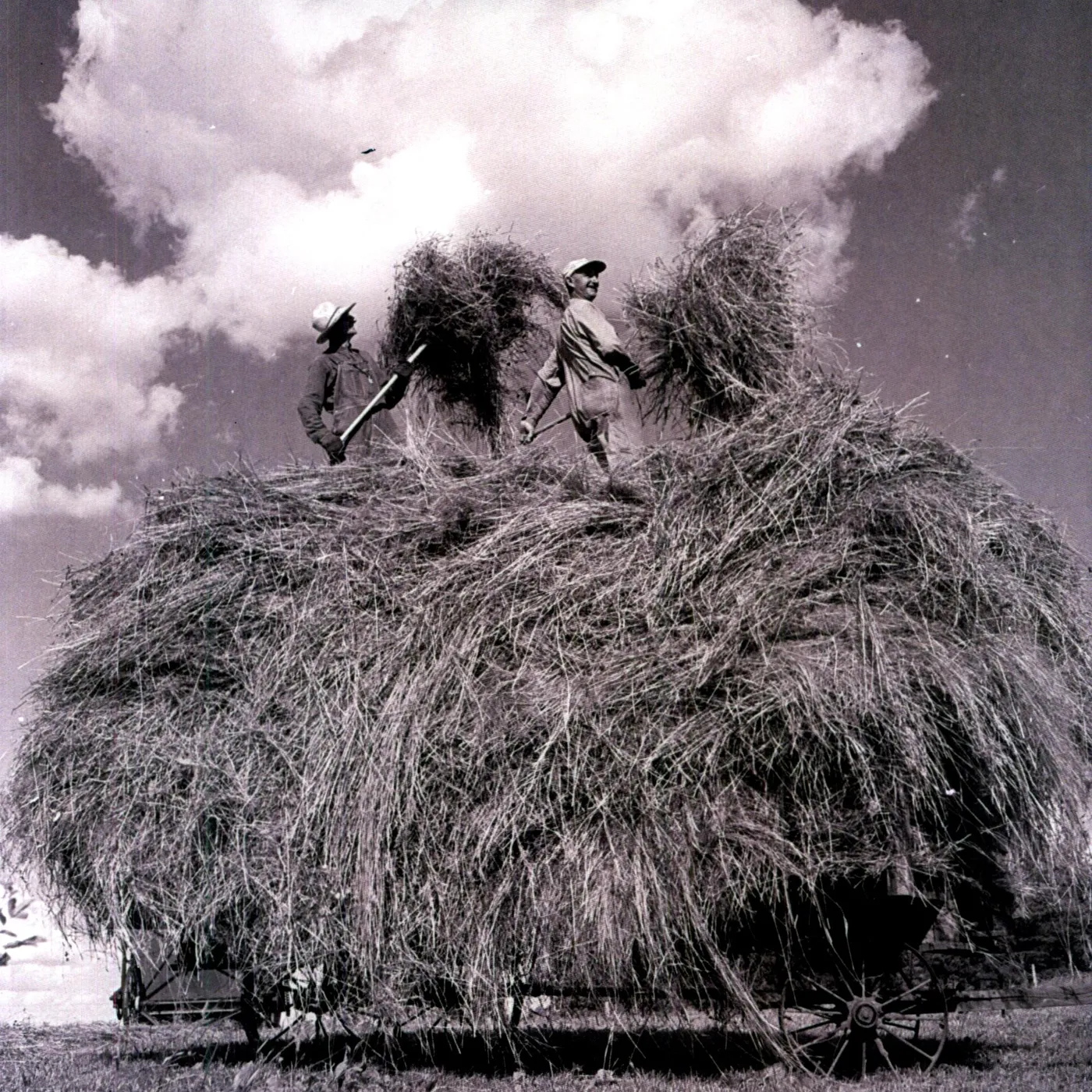 William Elliott Whitmore Field Songs Vinyl Record