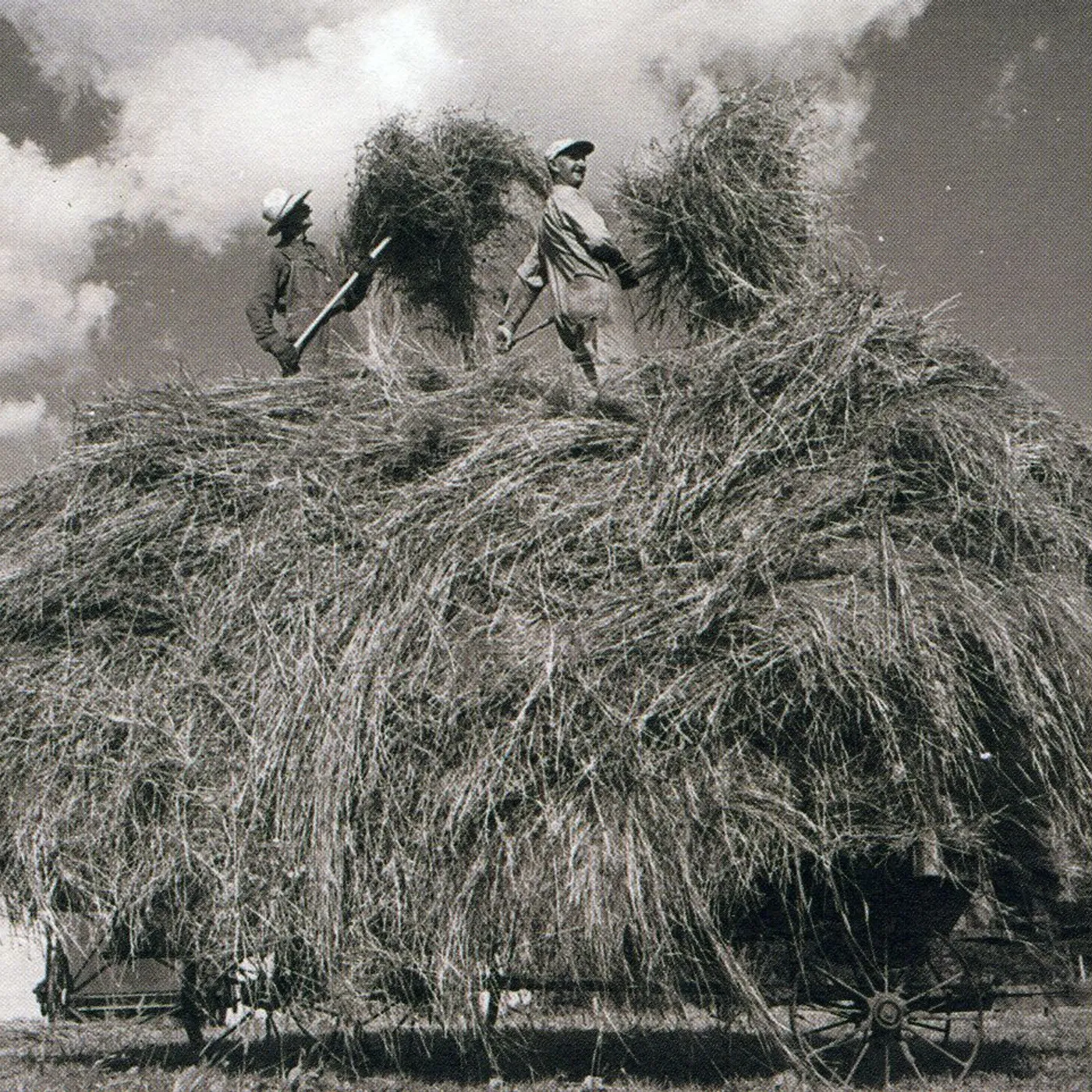 William Elliott Whitmore FIELD SONGS CD