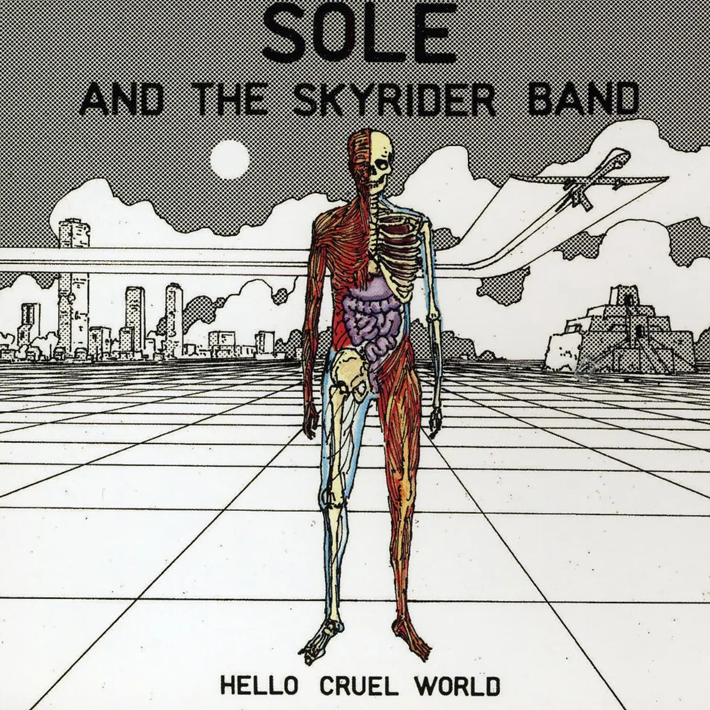 Sole & The Skyrider Band HELLO CRUEL WORLD CD