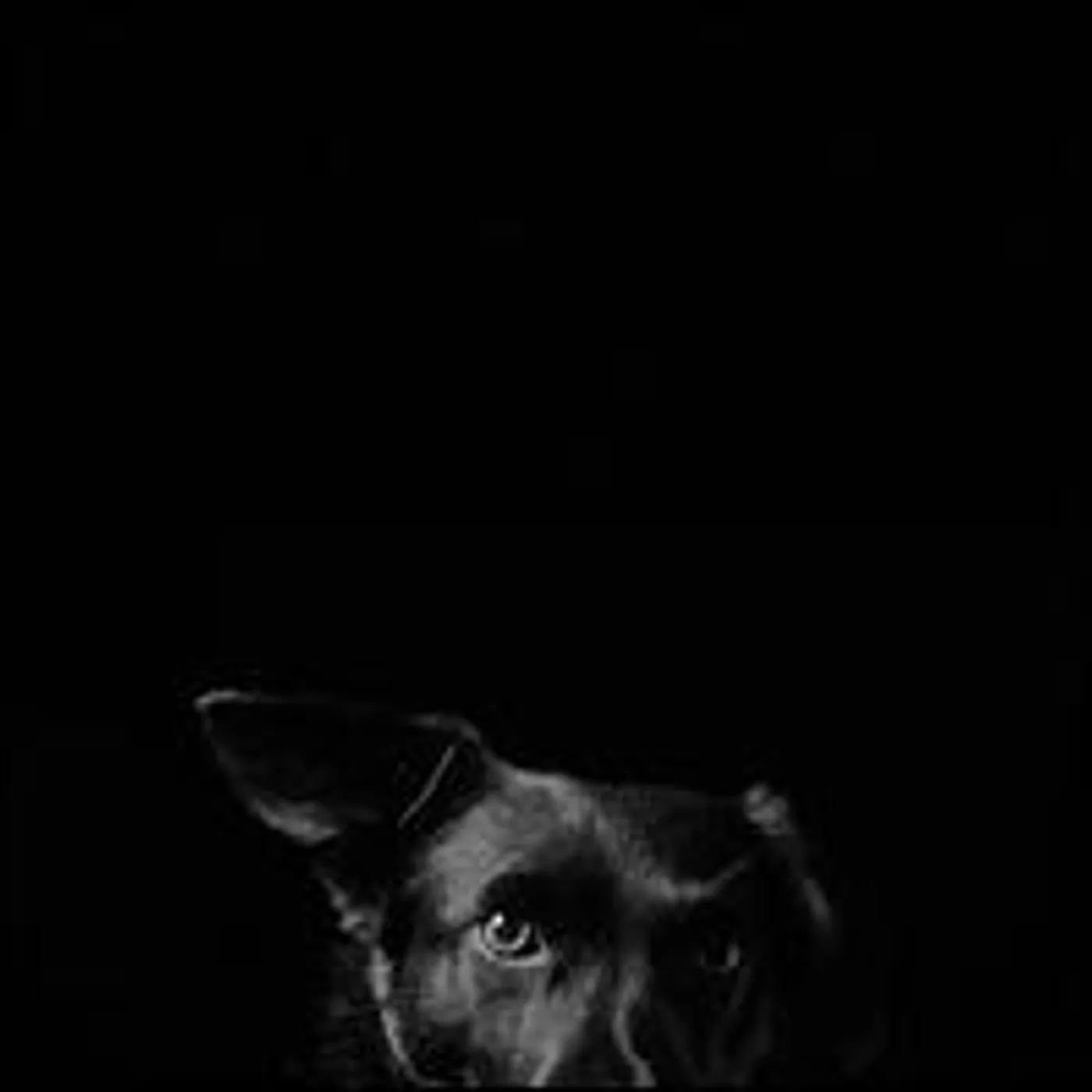 Be Svendsen CATCHY PENNY & COSMOS PT 1 Vinyl Record