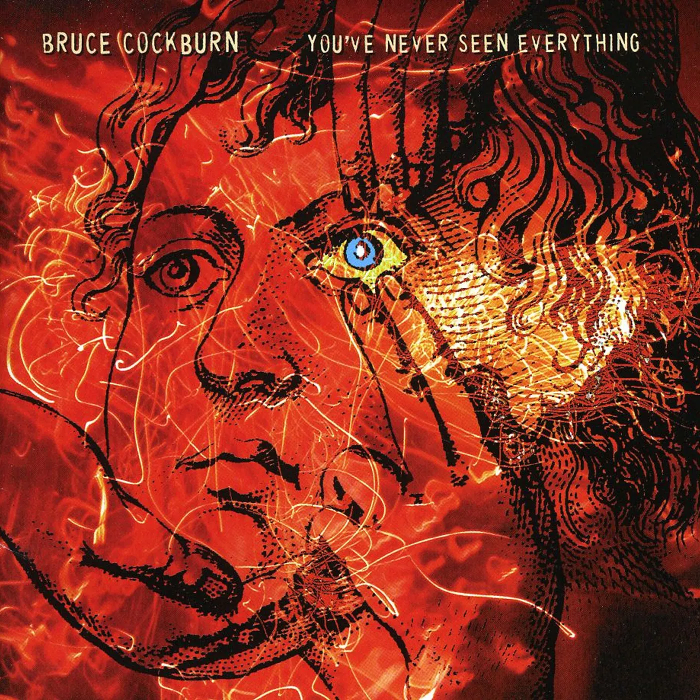 Bruce Cockburn YOUVE NEVER SEEN EVERYTHING CD