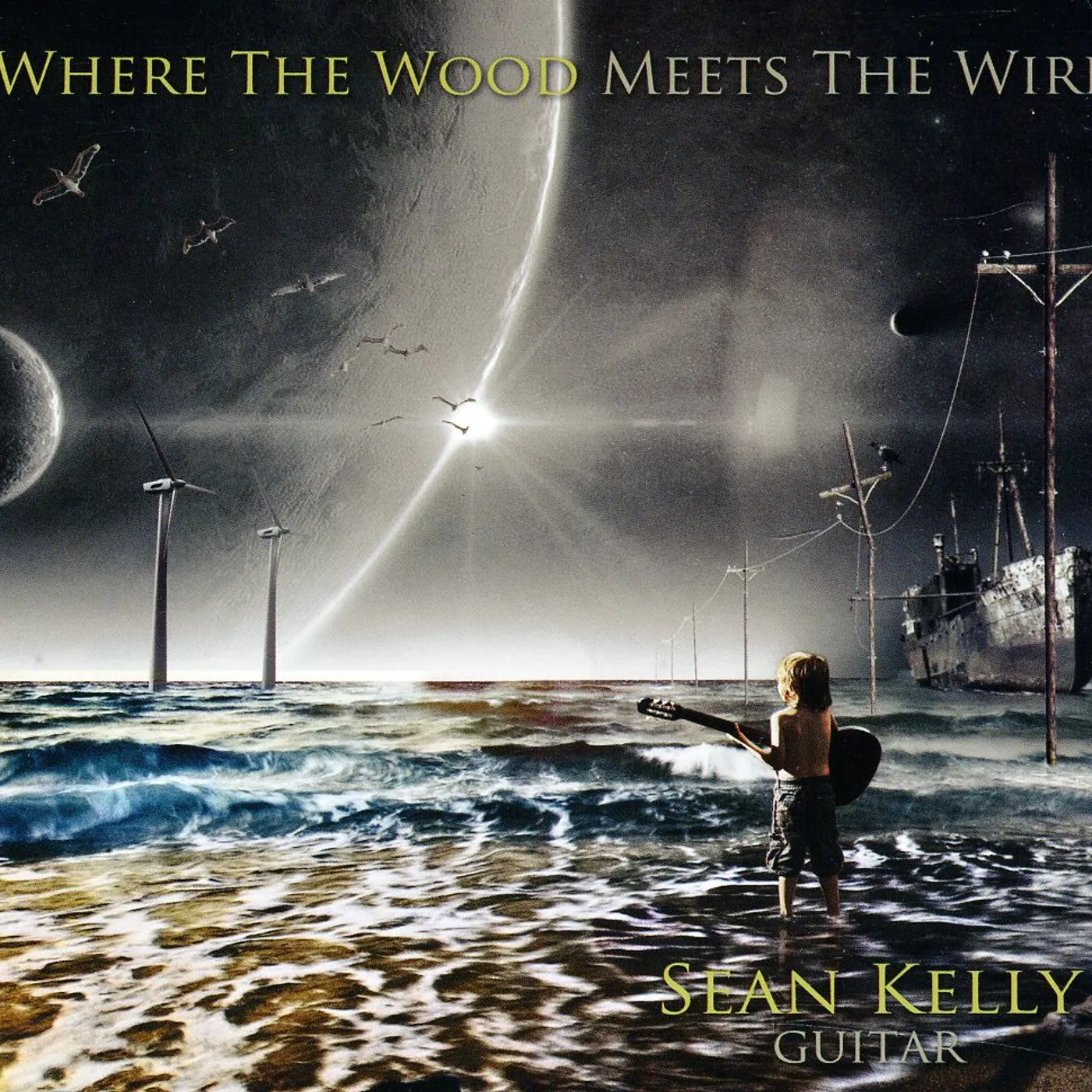 Sean Kelly WHERE THE WOOD MEETS THE WIRE CD