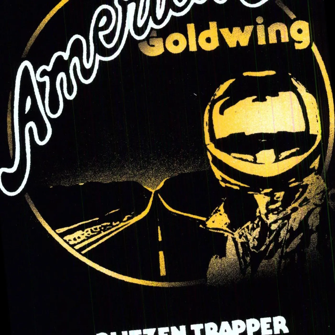 Blitzen Trapper American Goldwing Vinyl Record