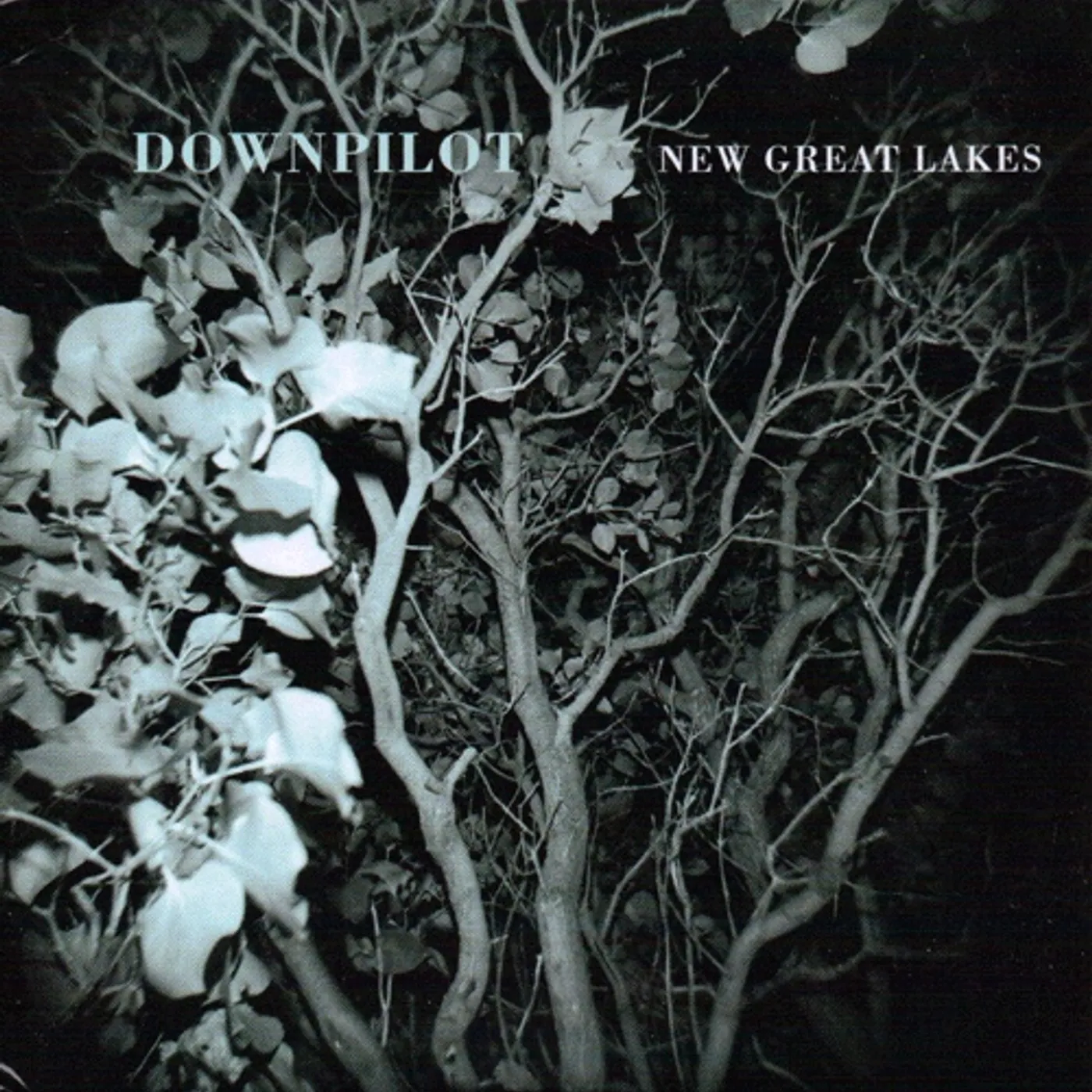 Downpilot New Great Lakes Vinyl Record