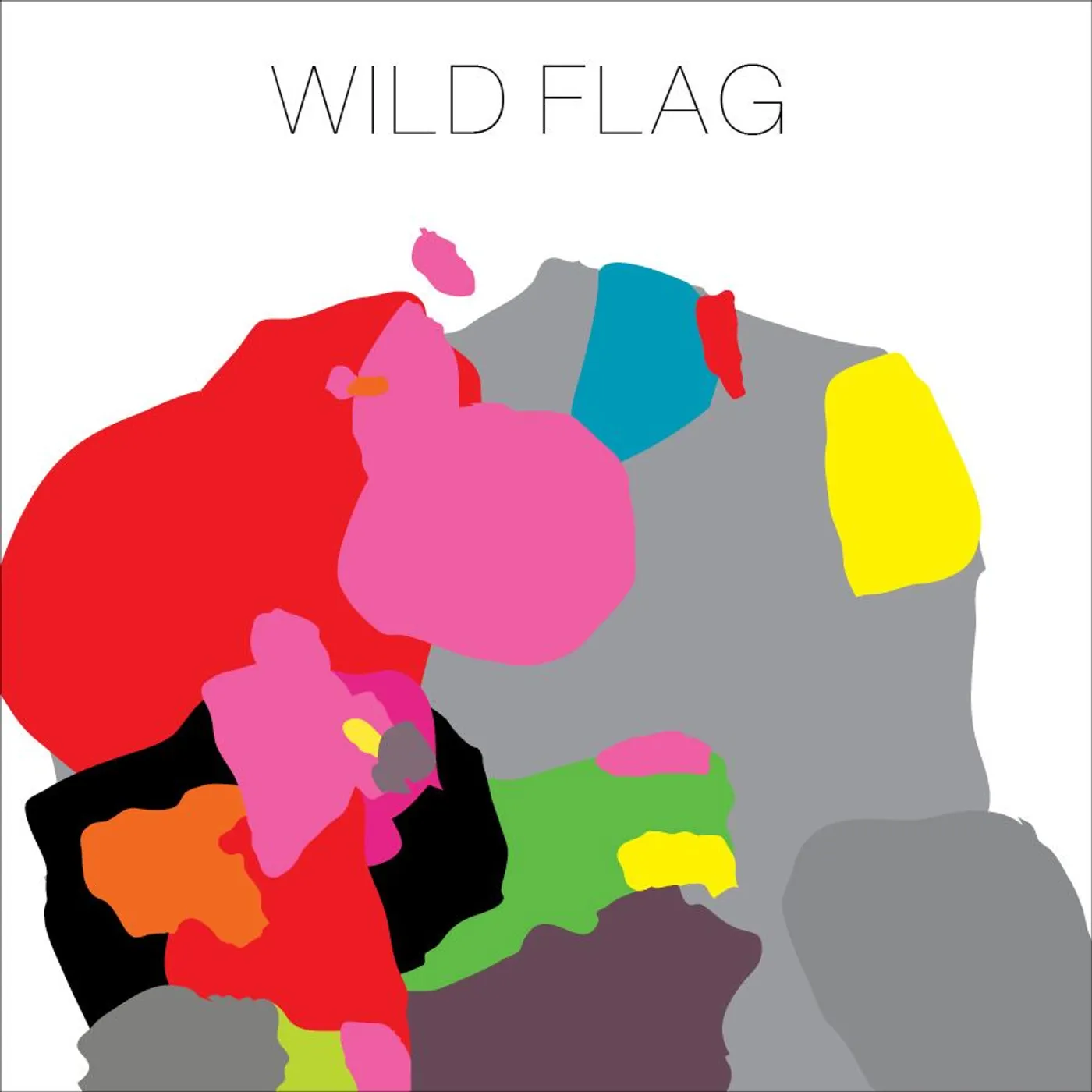 WILD FLAG CD