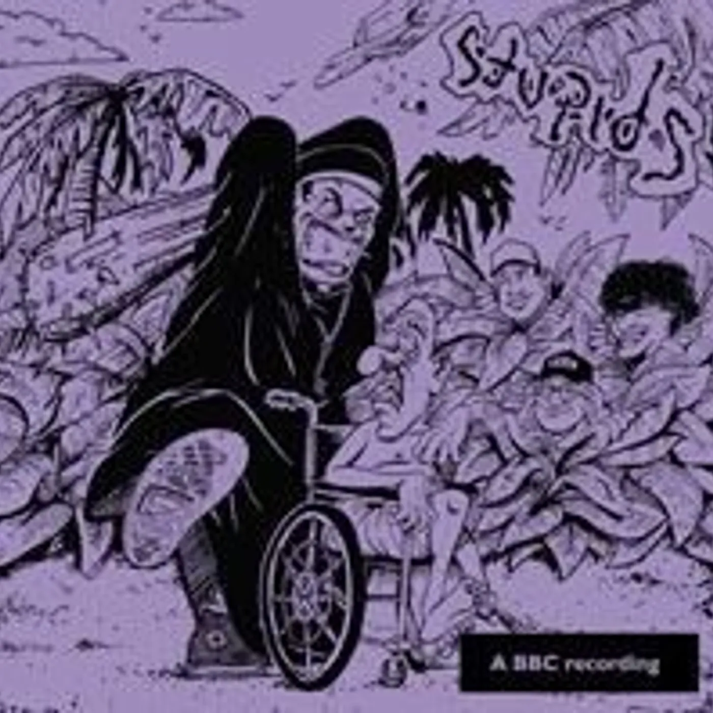 Stupids COMPLETE BBC PEEL SESSIONS Vinyl Record