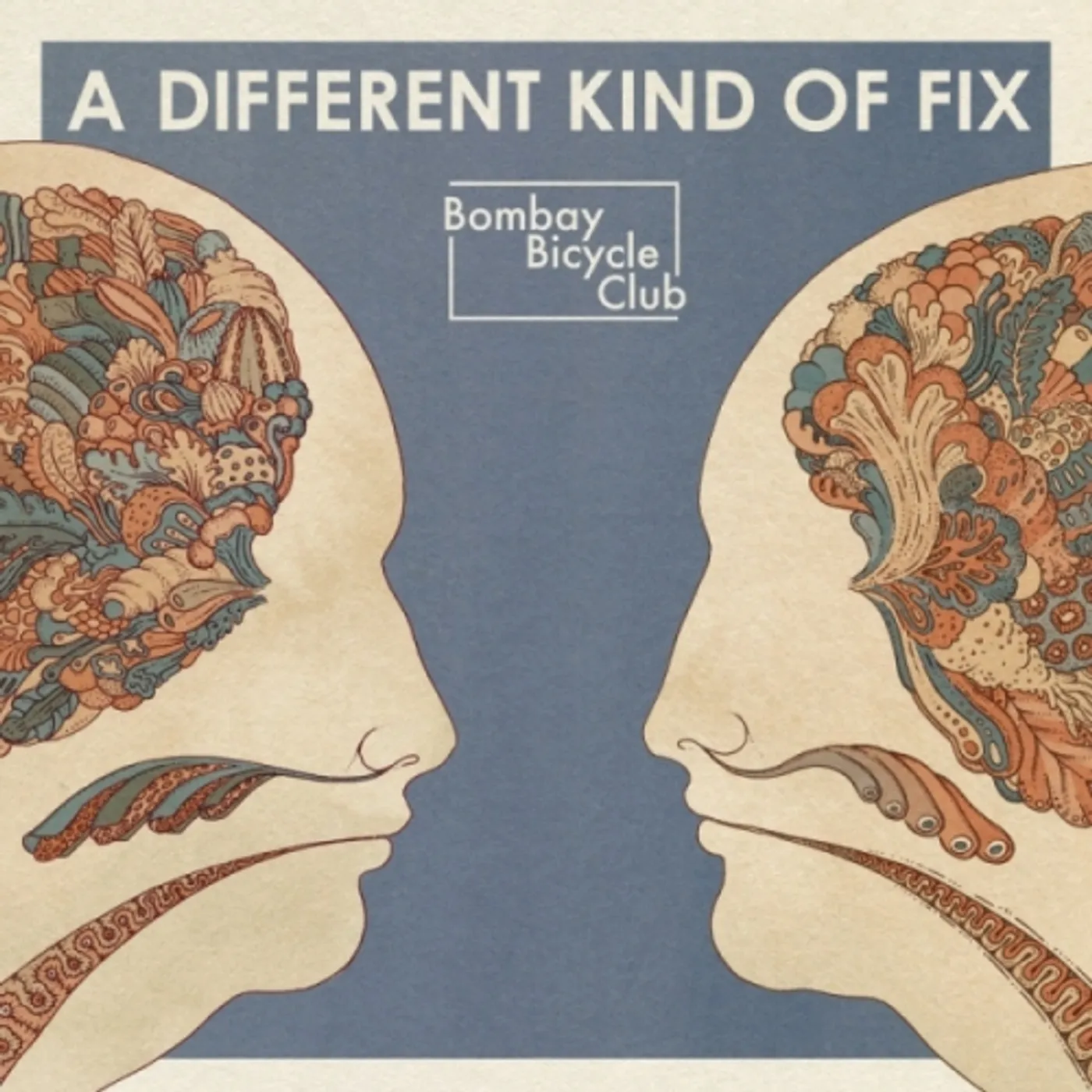 Bombay Bicycle Club DIFFERENT KIND OF FIX Vinyl Record