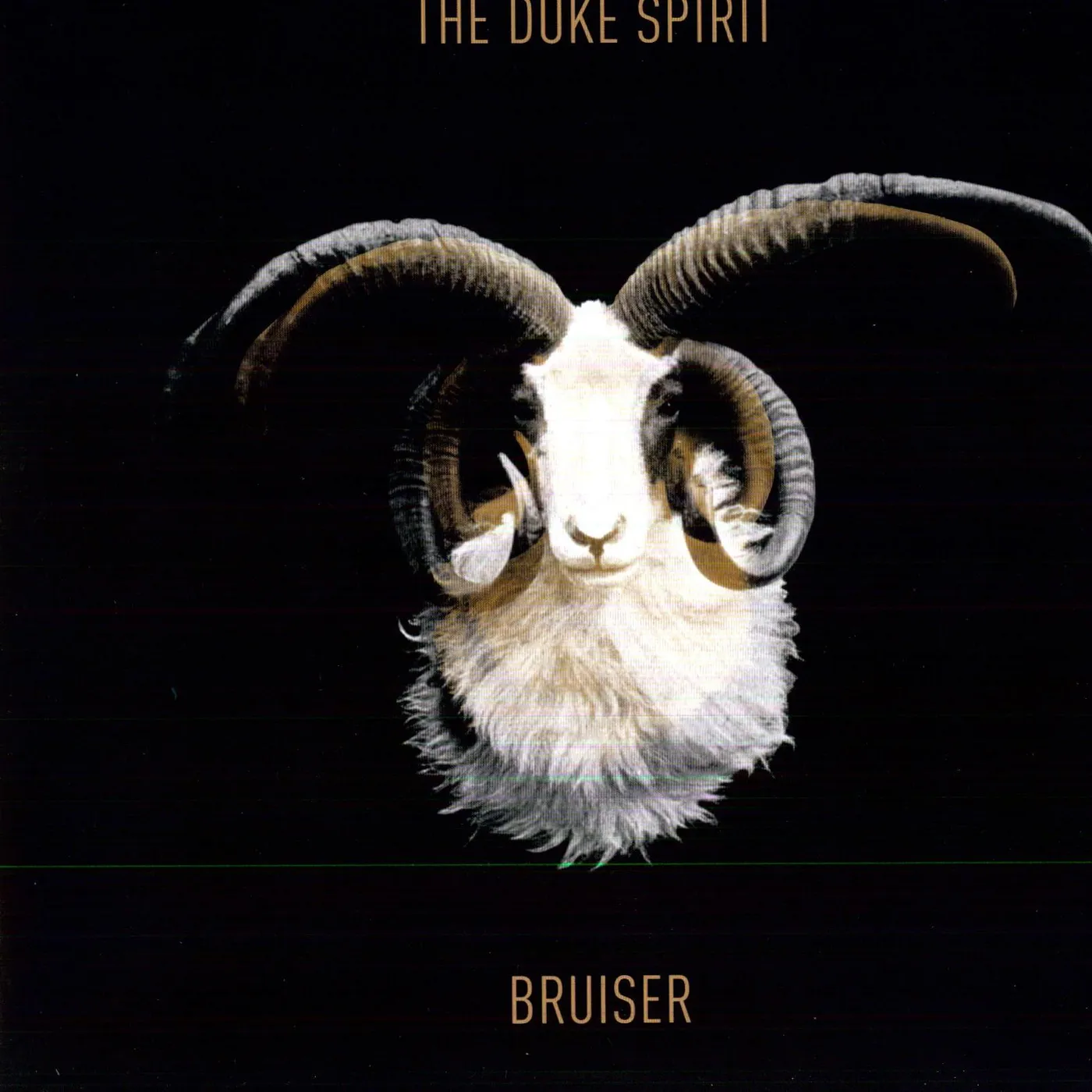 The Duke Spirit BRUISER (Vinyl)
