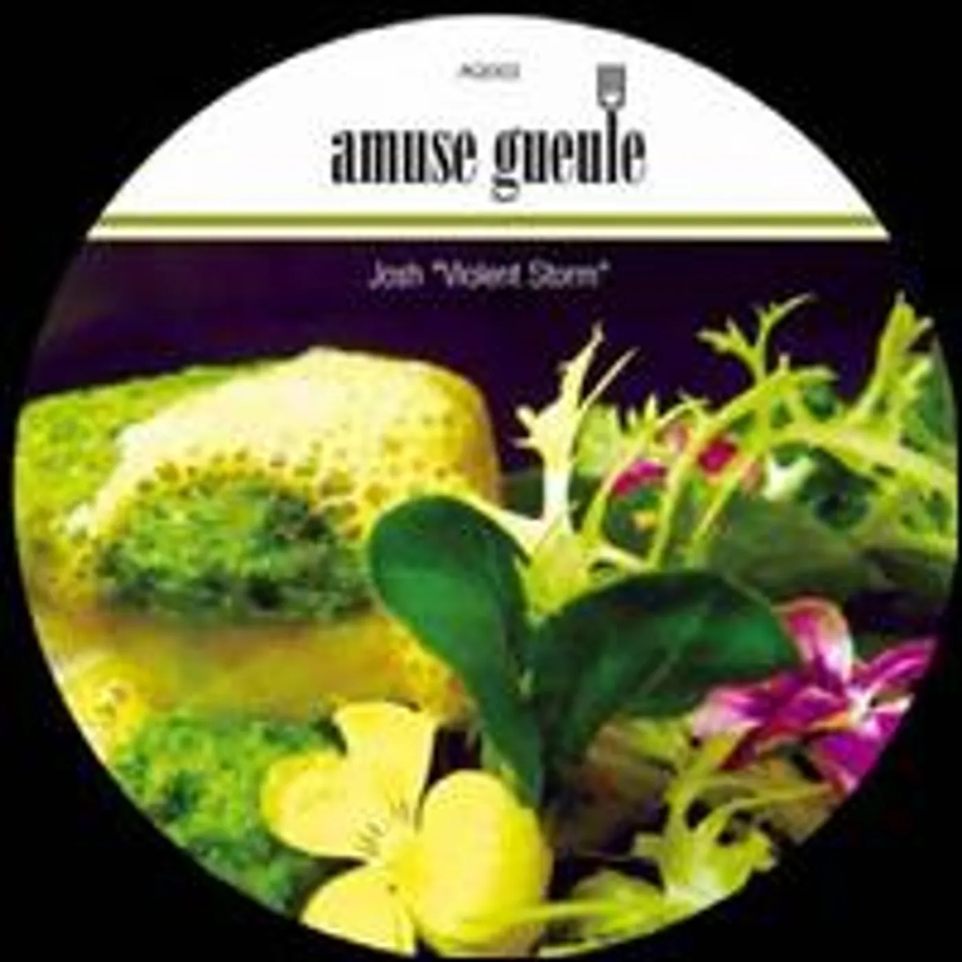 Josh VIOLENT STORM / COMING Vinyl Record