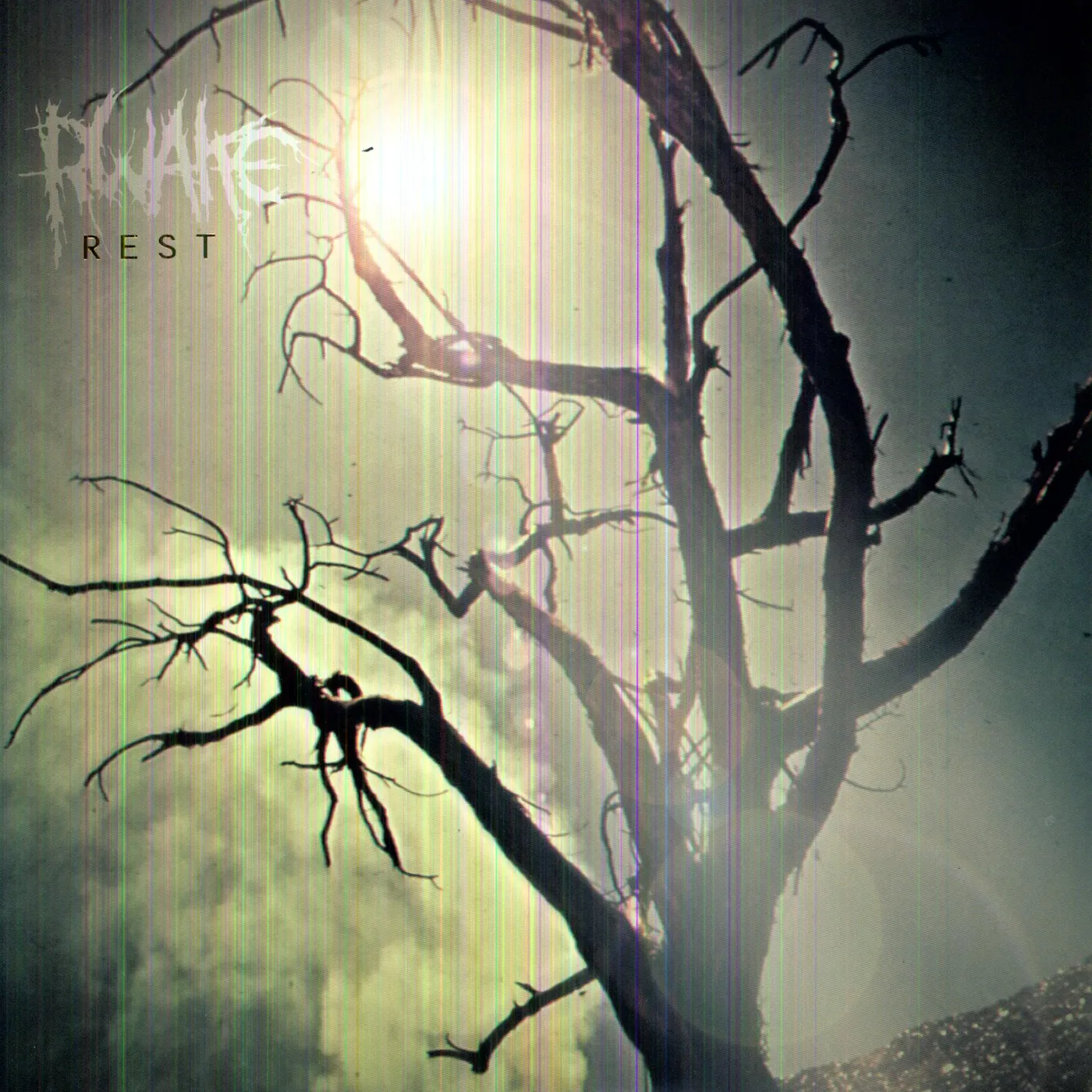 Rwake Rest Vinyl Record