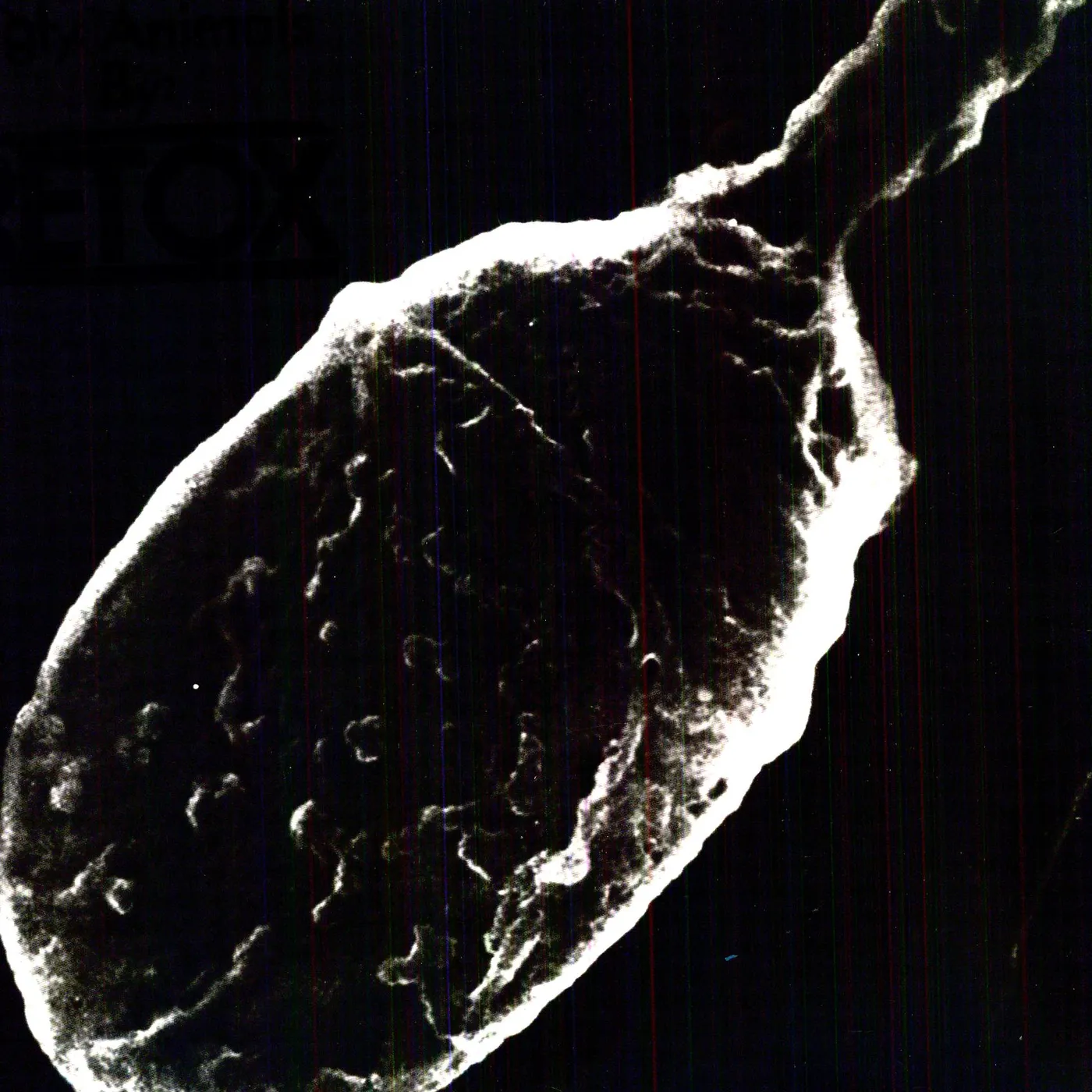 Retox Ugly Animals Vinyl Record