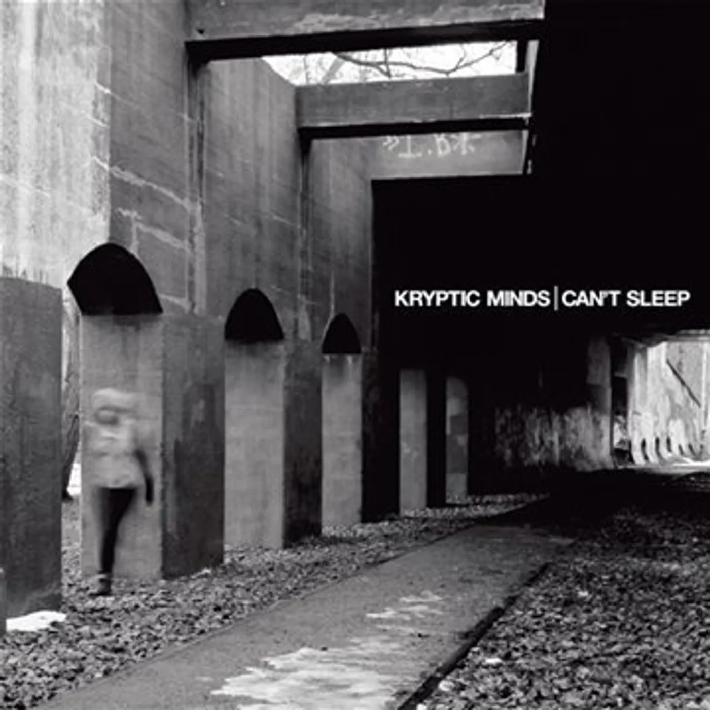 Kryptic Minds CANT SLEEP Vinyl Record