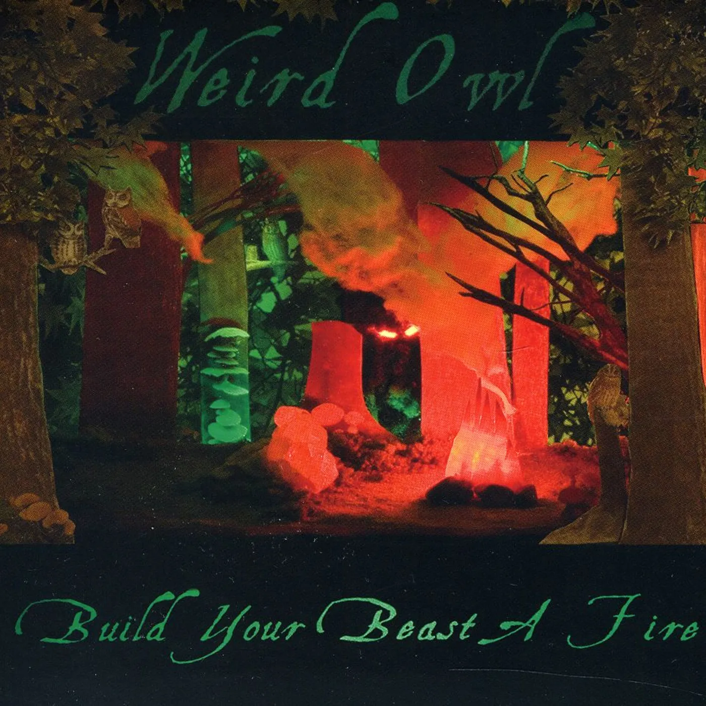 Weird Owl BUILD YOUR BEAST A FIRE CD
