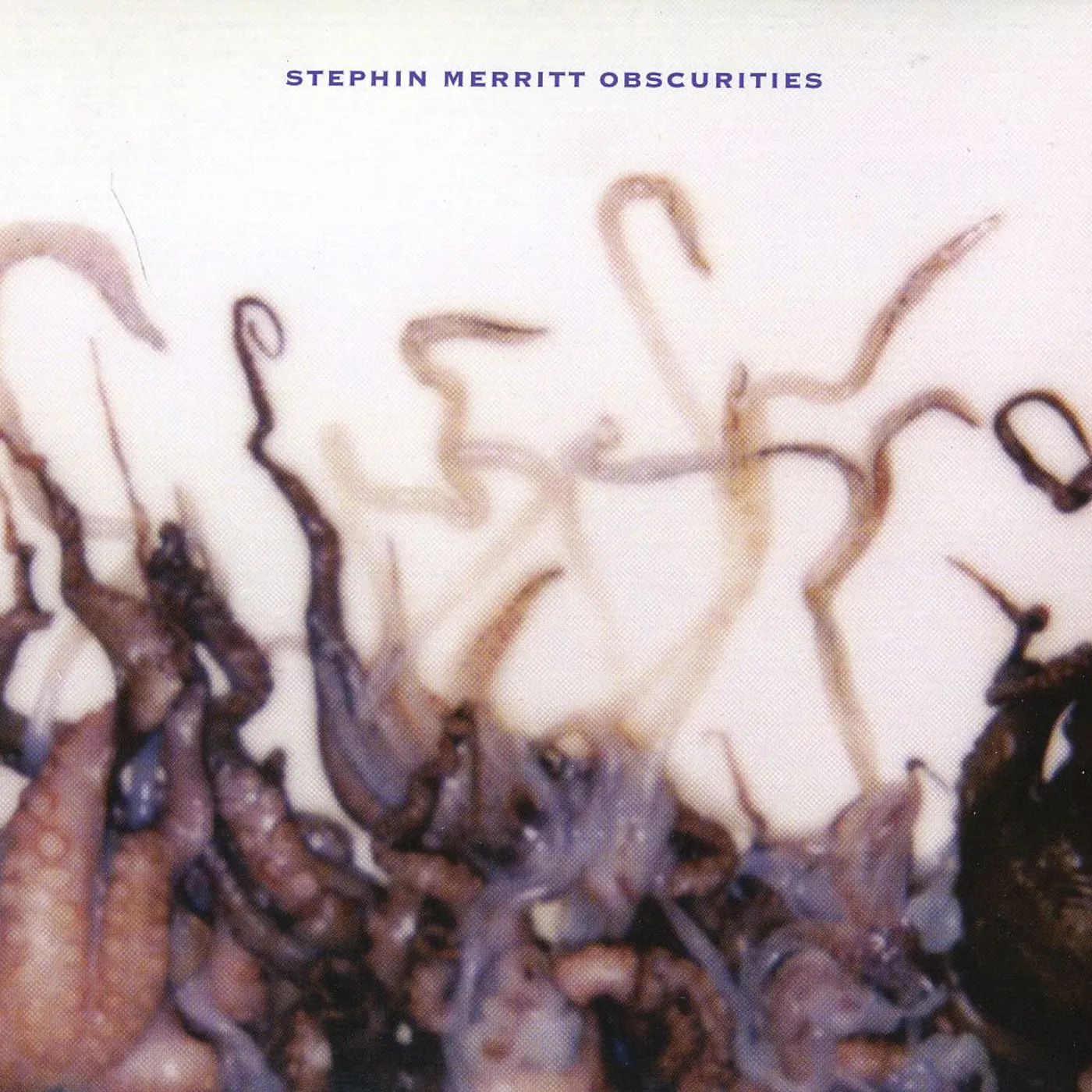 Stephin Merritt OBSCURITIES CD