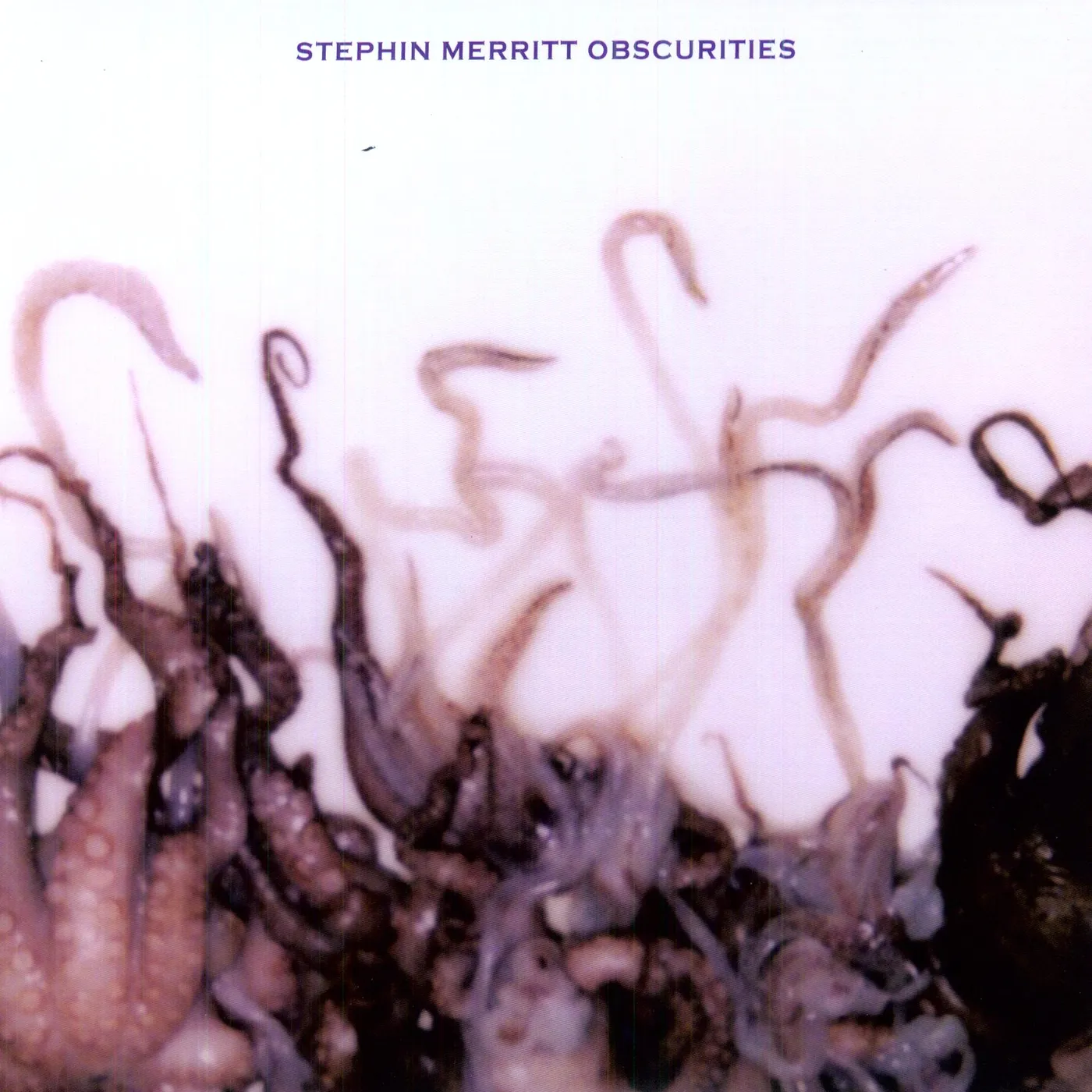 Stephin Merritt Obscurities Vinyl Record