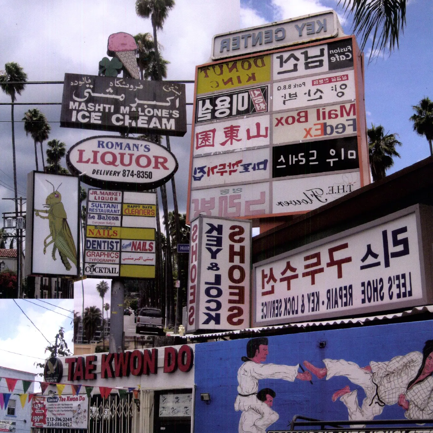 Matthew Friedberger Cut it Out Vinyl Record