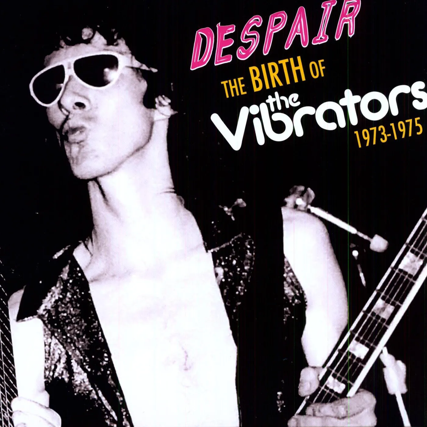 Despair BIRTH OF THE VIBRATORS 1973-1975 Vinyl Record