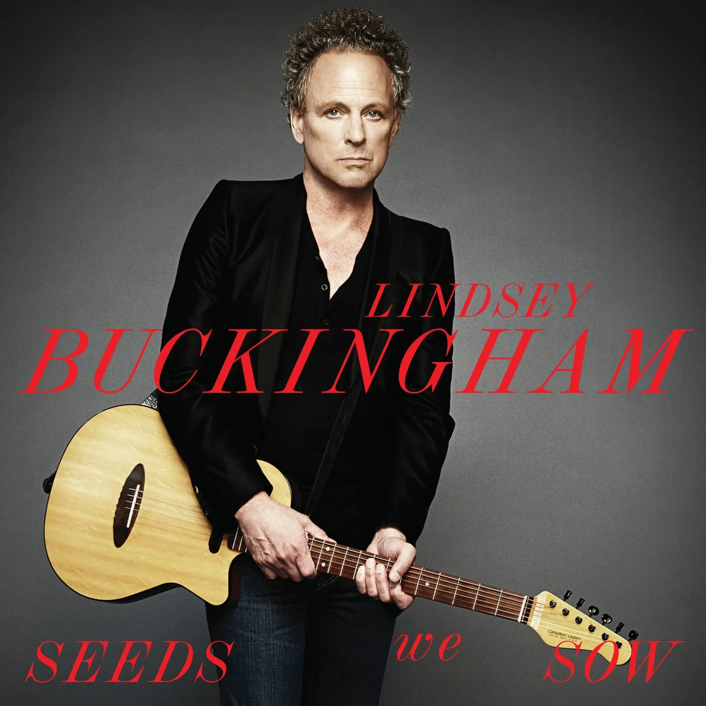 Lindsey Buckingham SEEDS WE SOW CD