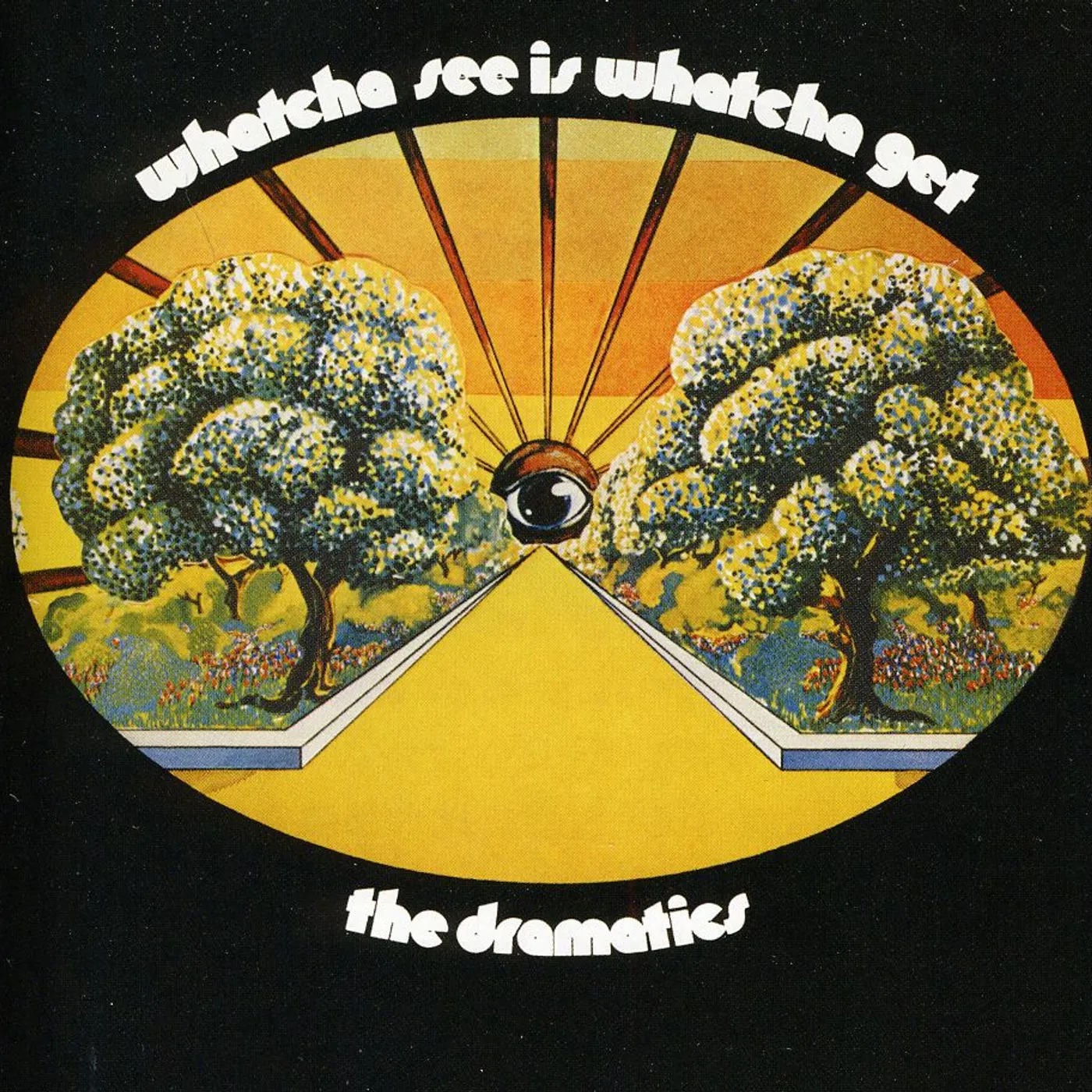 Dramatics WHATCHA SEE IS WHATCHA GET CD