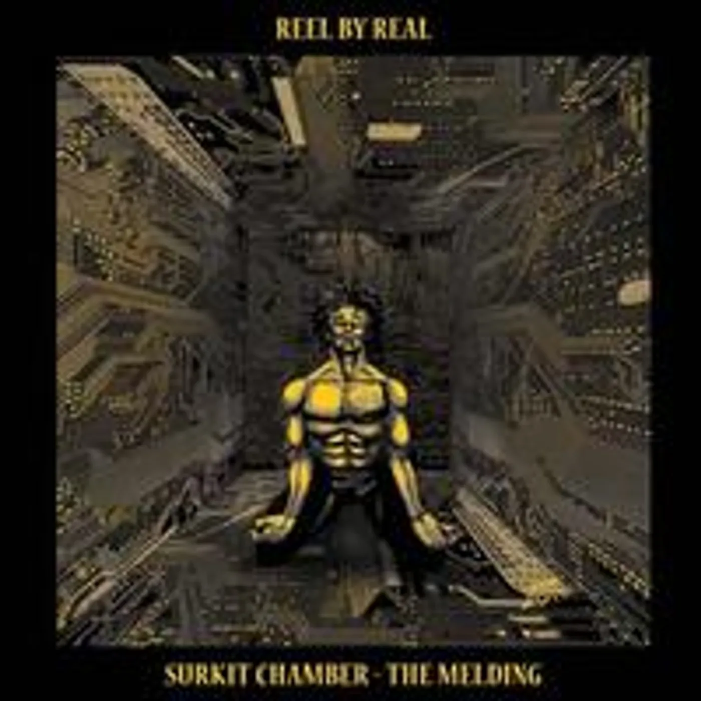 Reel By Real SURKIT CHAMBER: THE MELDING Vinyl Record