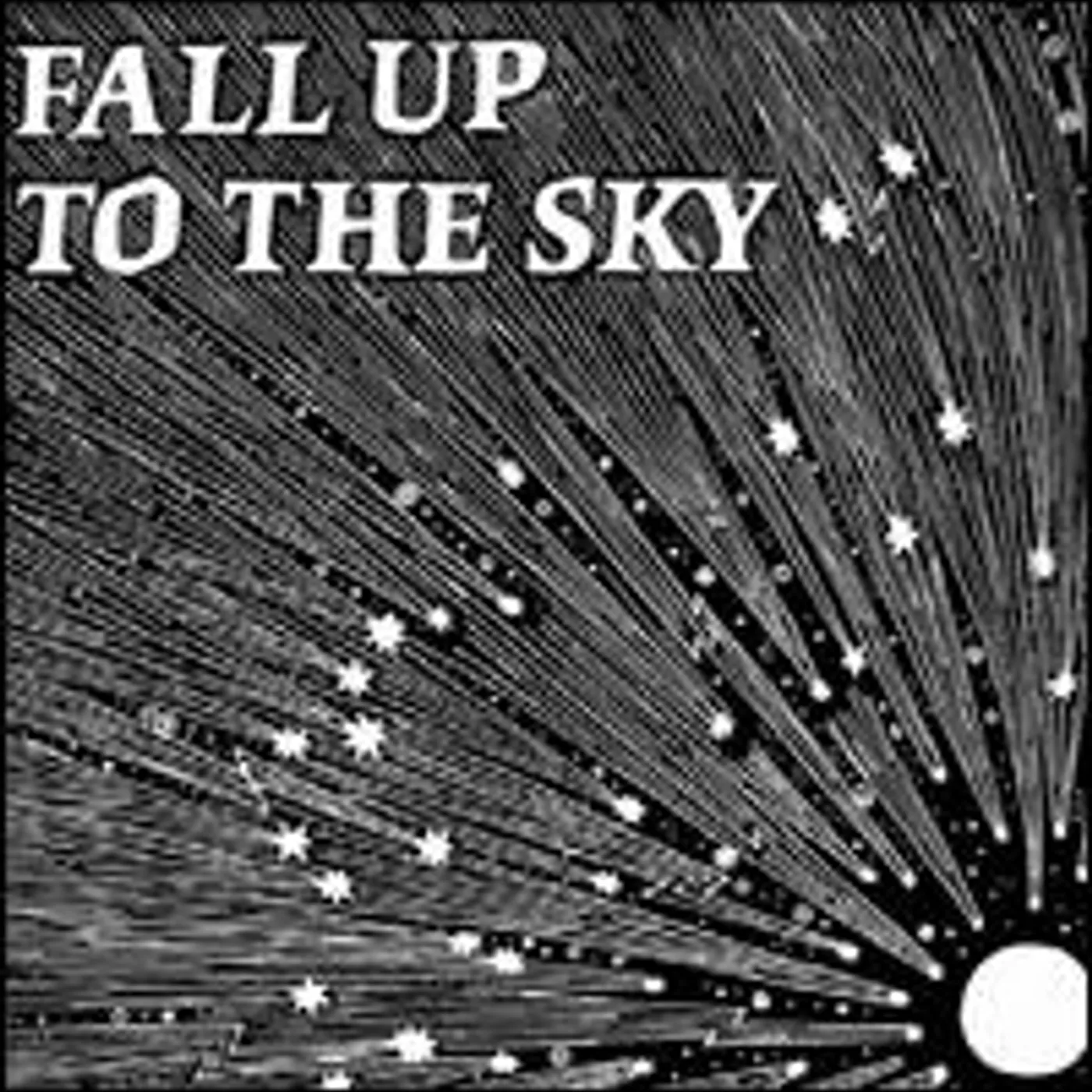 No Regular Play Fall Up to the Sky Vinyl Record