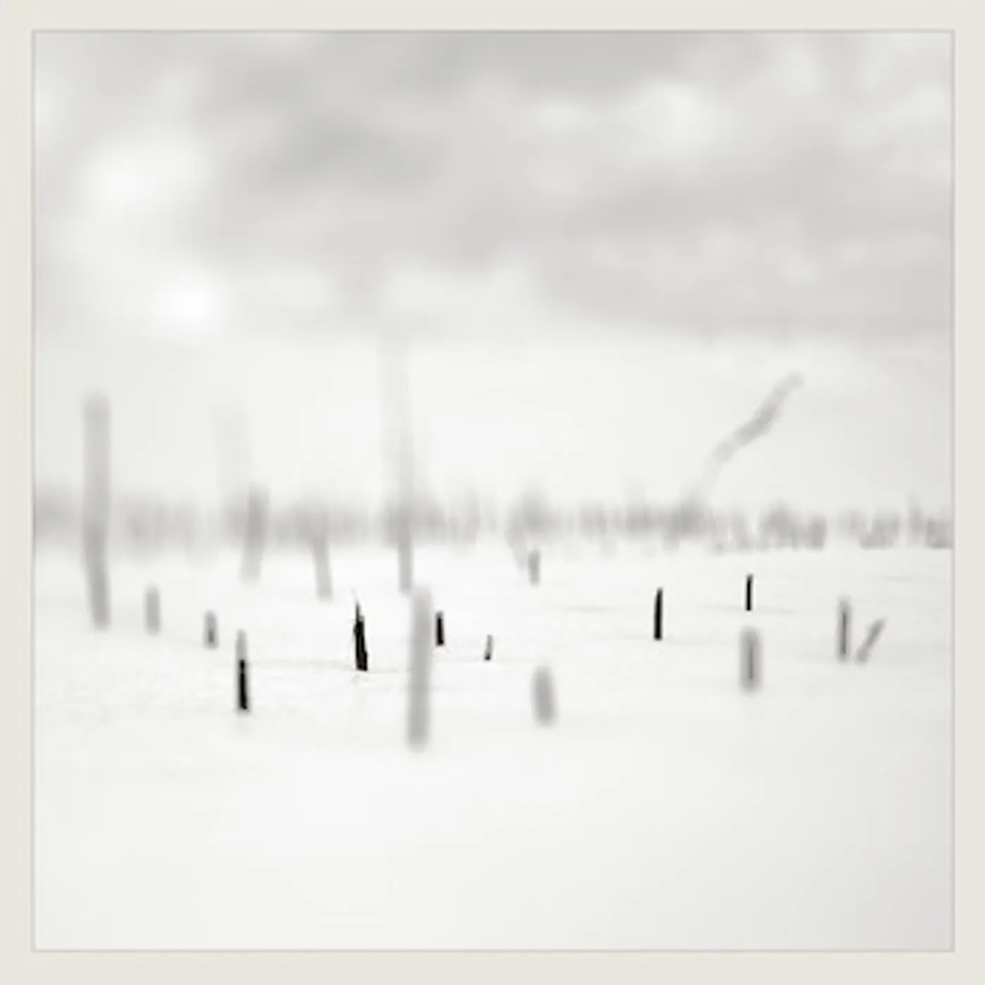 Taylor Deupree In A Place Of Such Graceful Shapes Vinyl Record