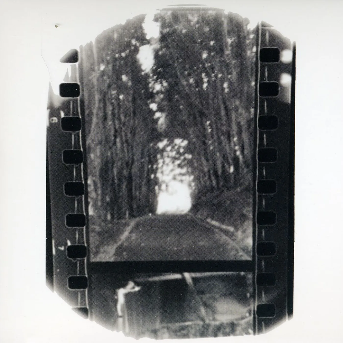 Seahaven WINTER FOREVER CD