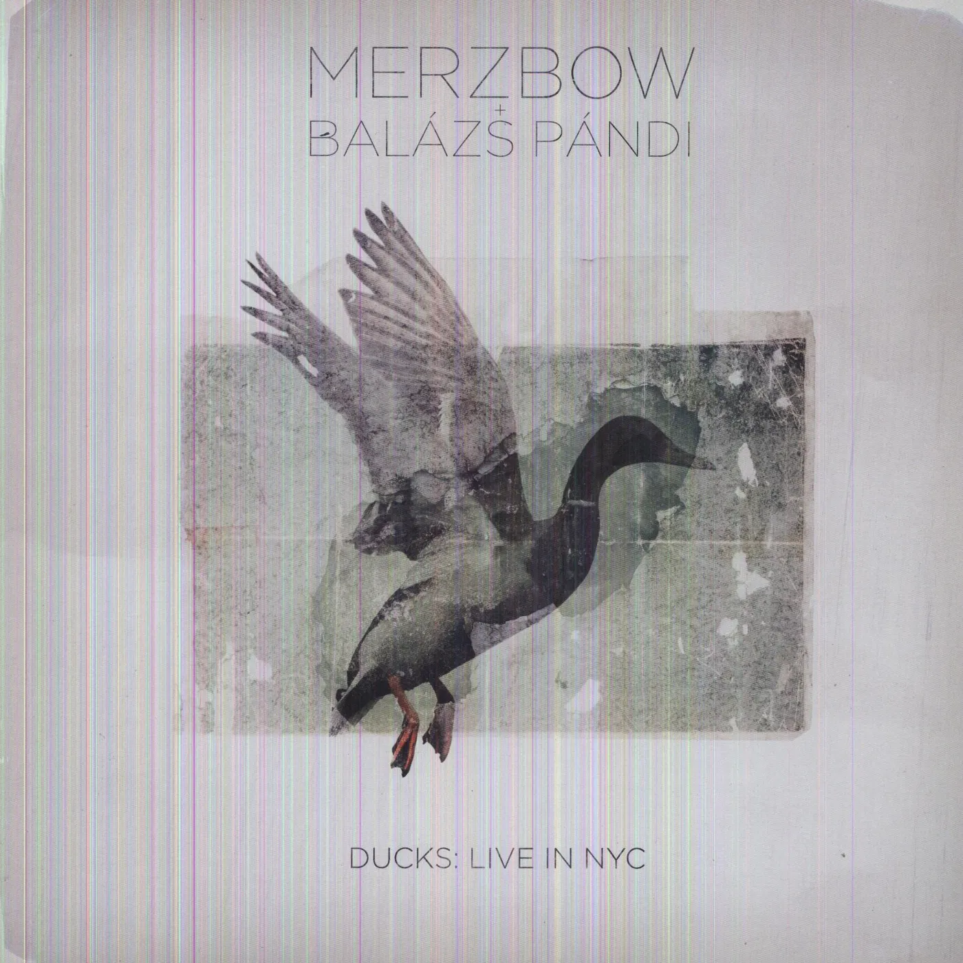 Merzbow + Balázs Pándi Ducks: Live In NYC Vinyl Record