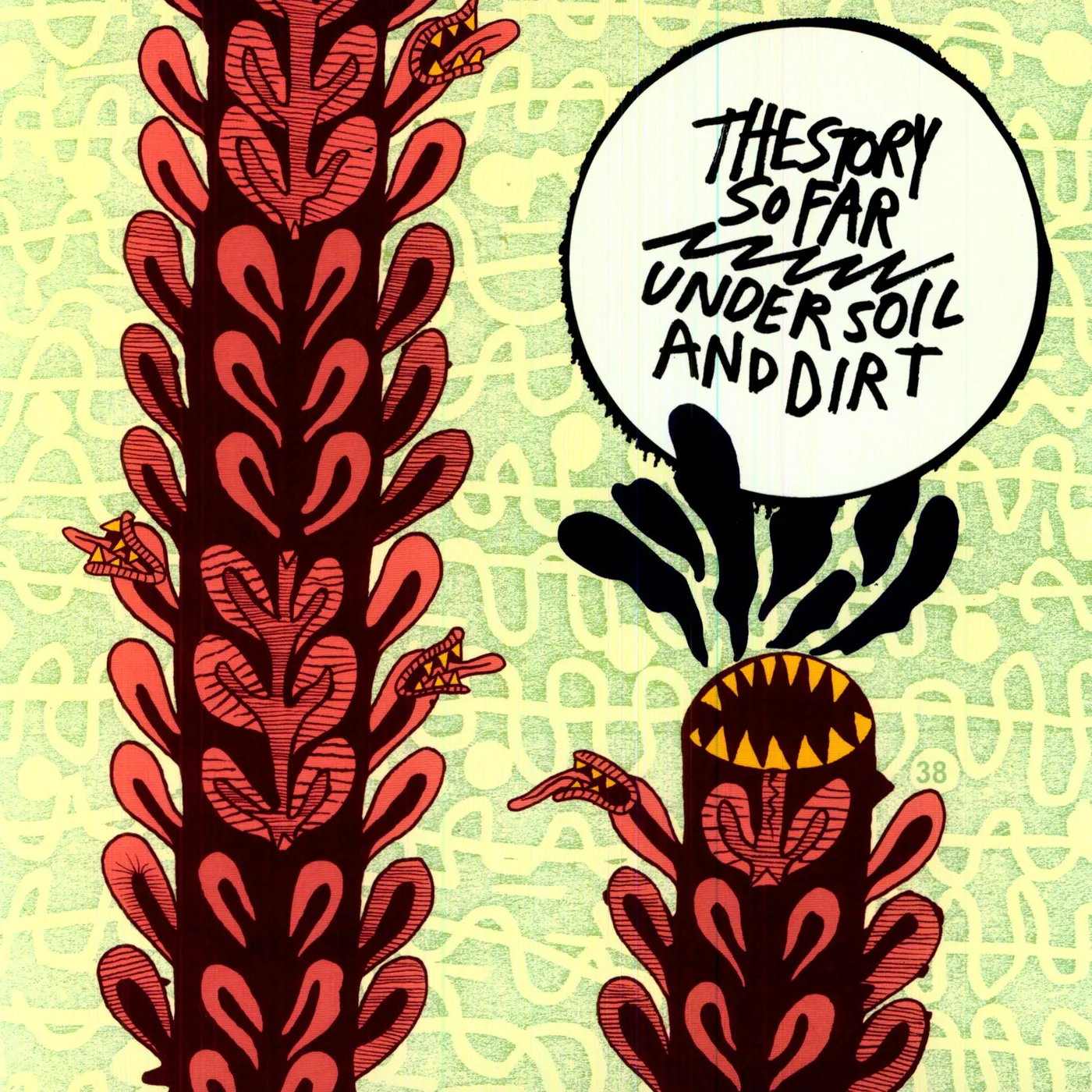 The Story So Far Under Soil and Dirt Vinyl Record