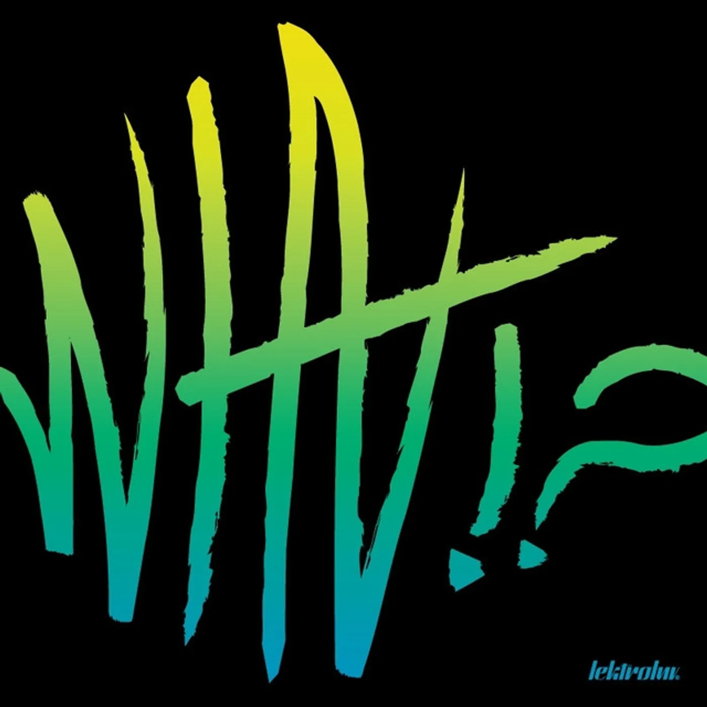 VNNR WHAT Vinyl Record