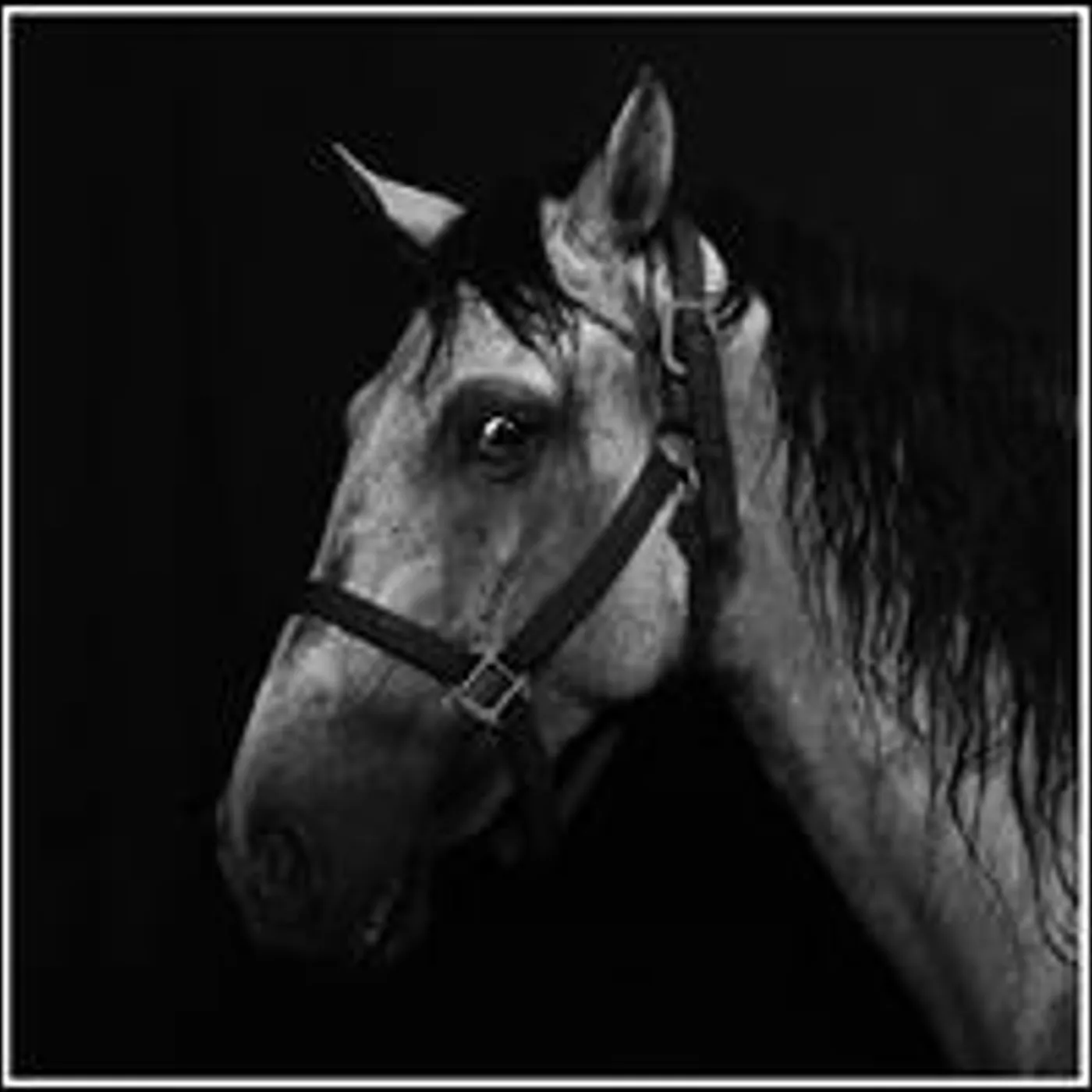 Kombinat100 BOEKER MUHLE Vinyl Record