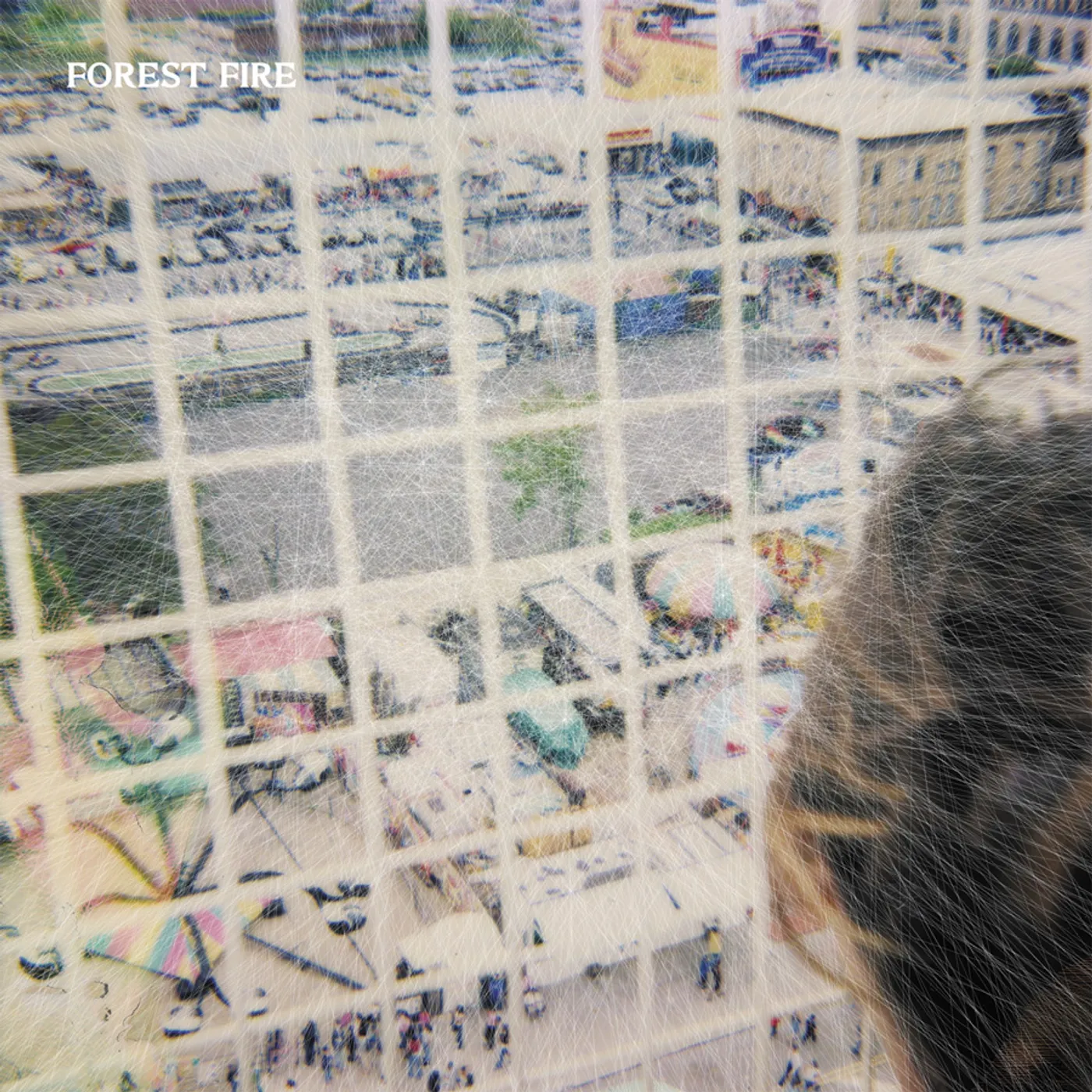 Forest Fire STARING AT THE X CD