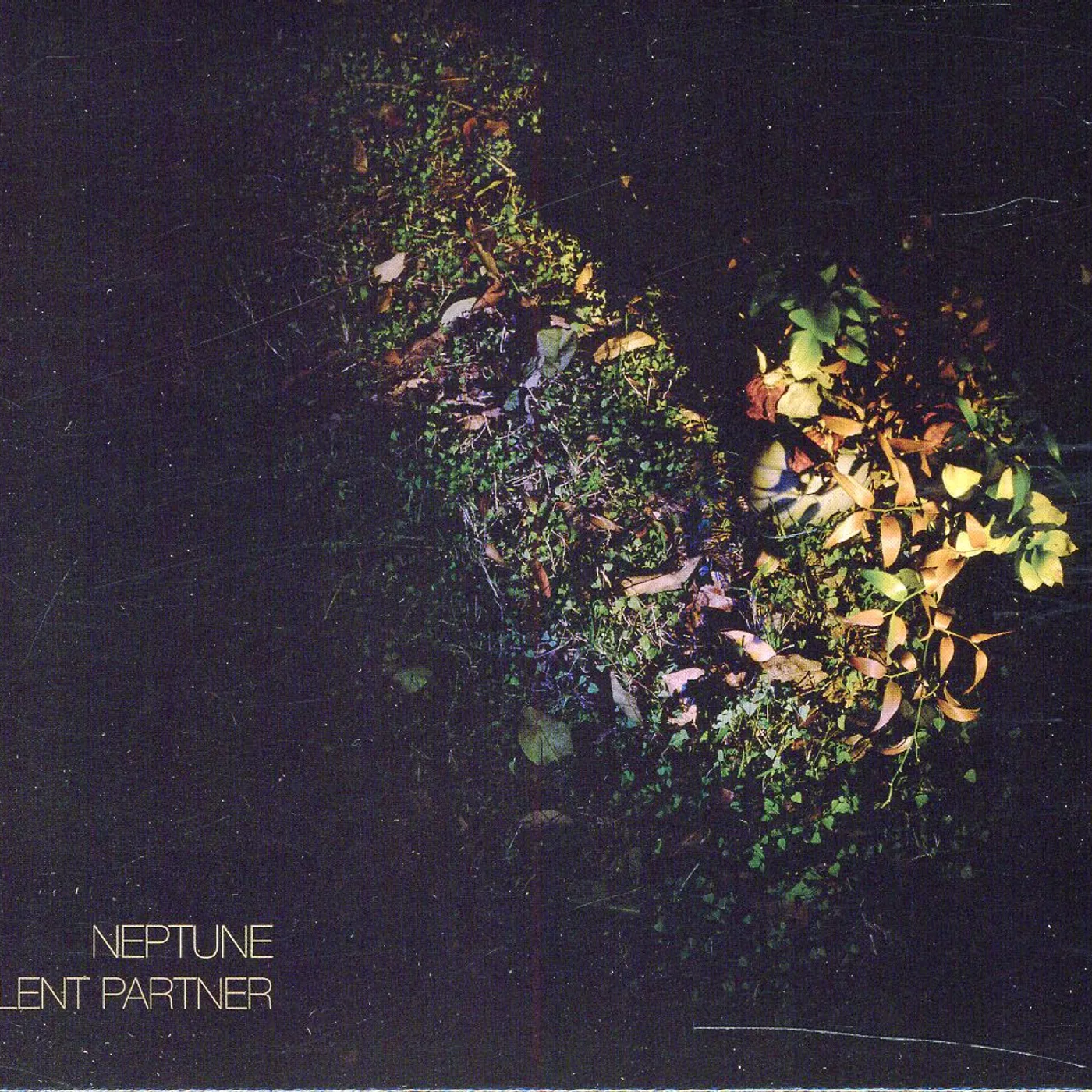 Neptune SILENT PARTNER CD