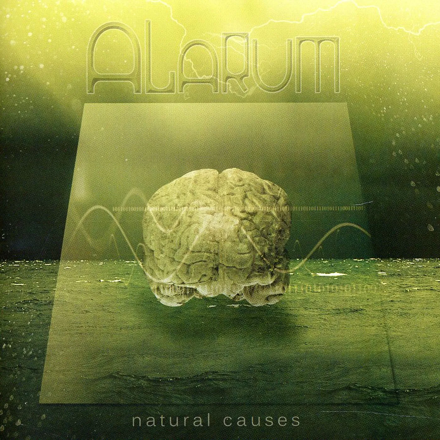 Alarum NATURAL CAUSES CD