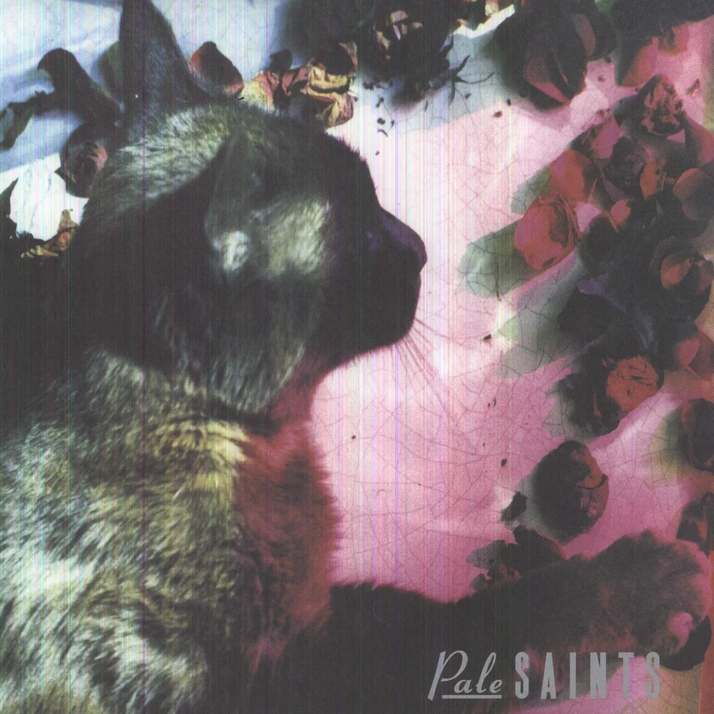 Pale Saints COMFORTS OF MADNESS Vinyl Record