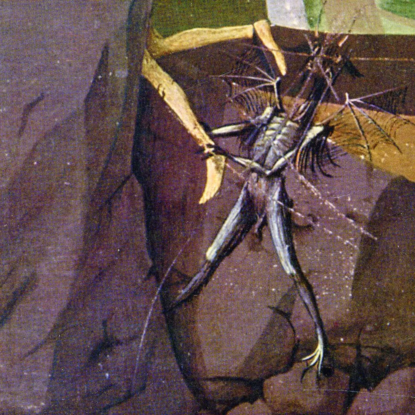 Danava HEMISPHERE OF SHADOWS CD