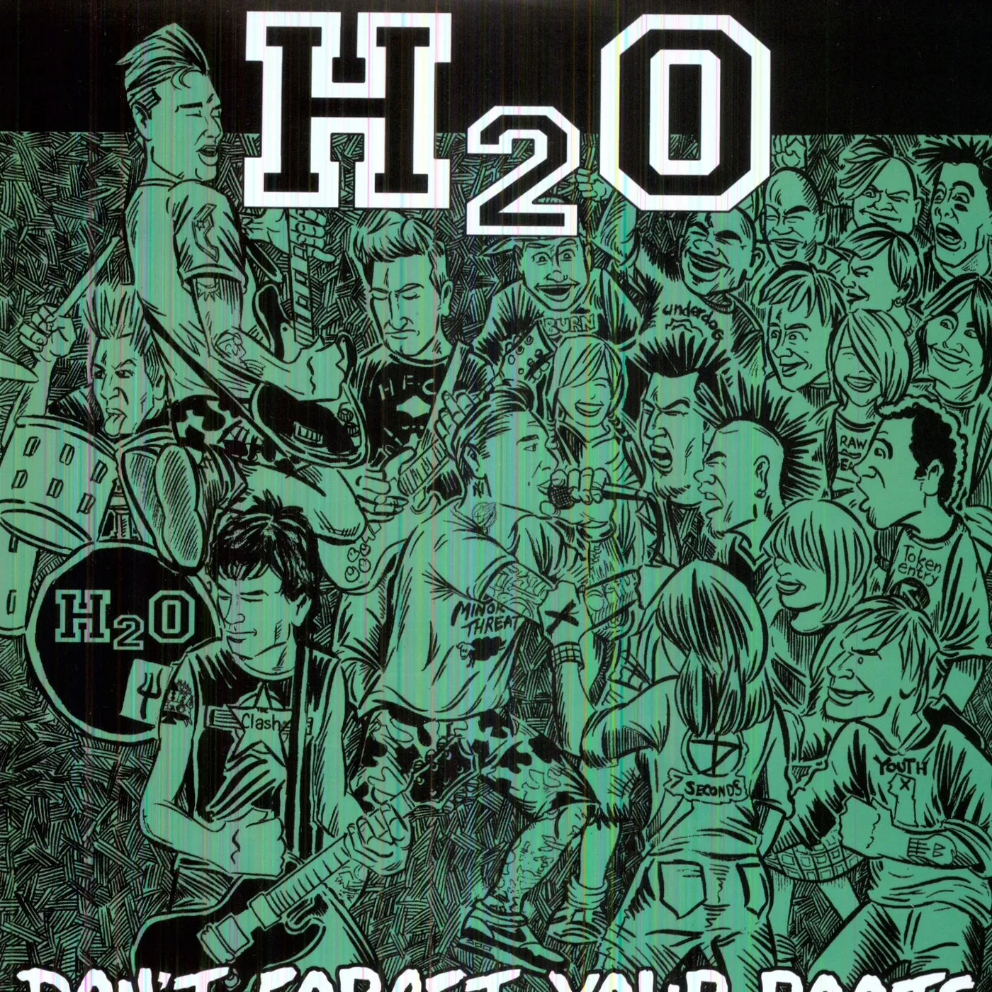 H2O Don't Forget Your Roots Vinyl Record