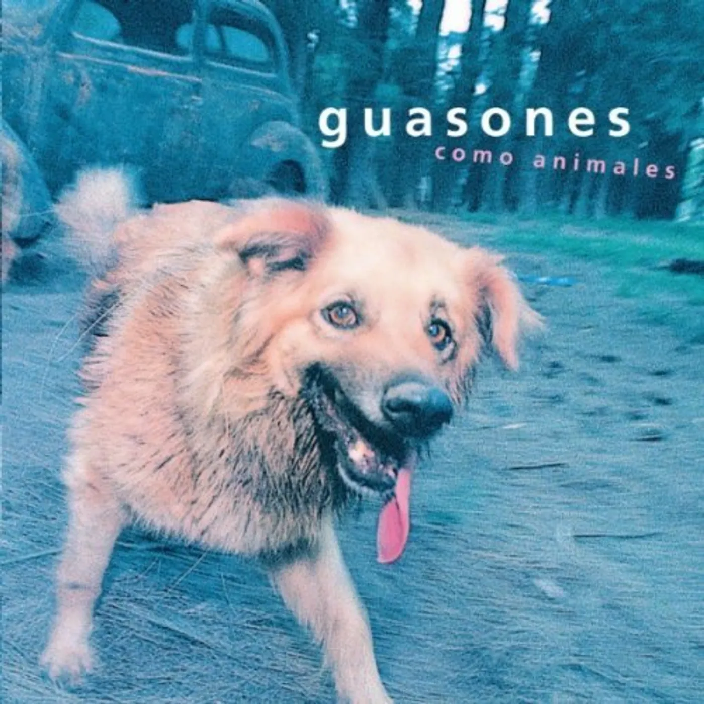 Guasones COMO ANIMALES CD