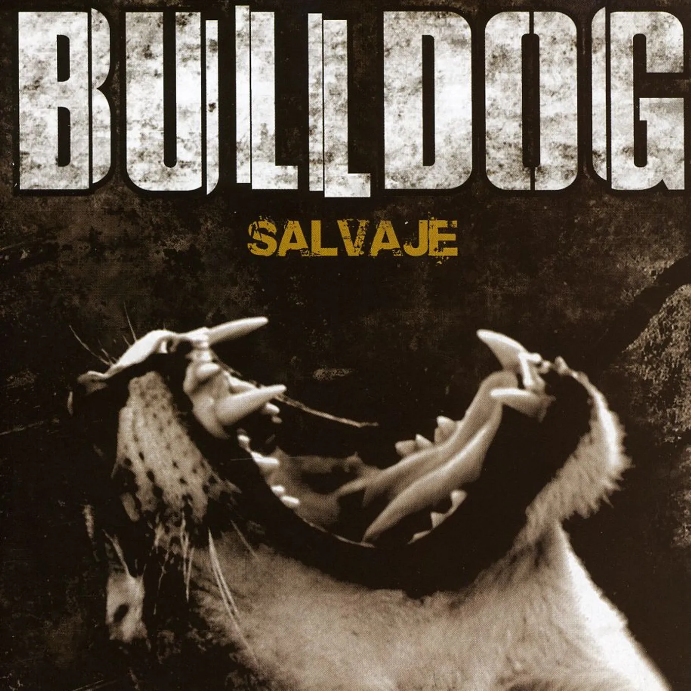 Bulldog SALVAJE CD