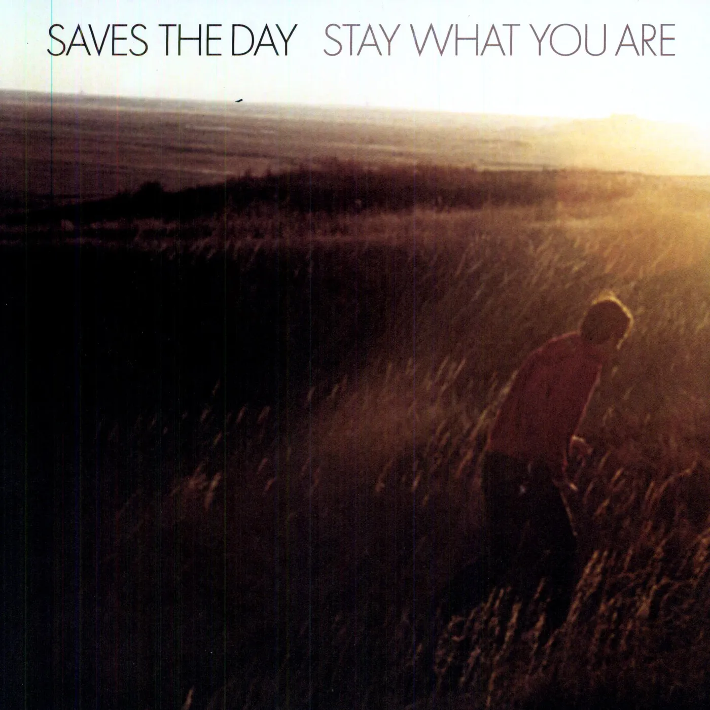 Saves The Day Stay What You Are Vinyl Record
